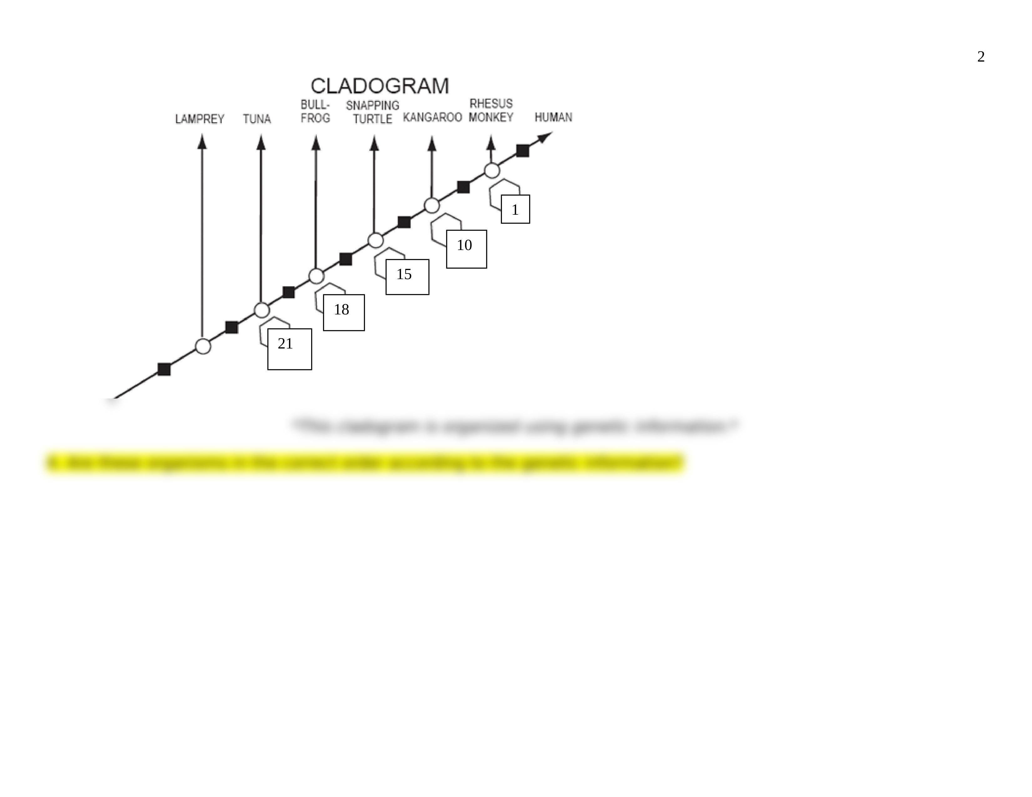 AAM_Cladogram Activity.doc_dn8mtprd9m8_page2