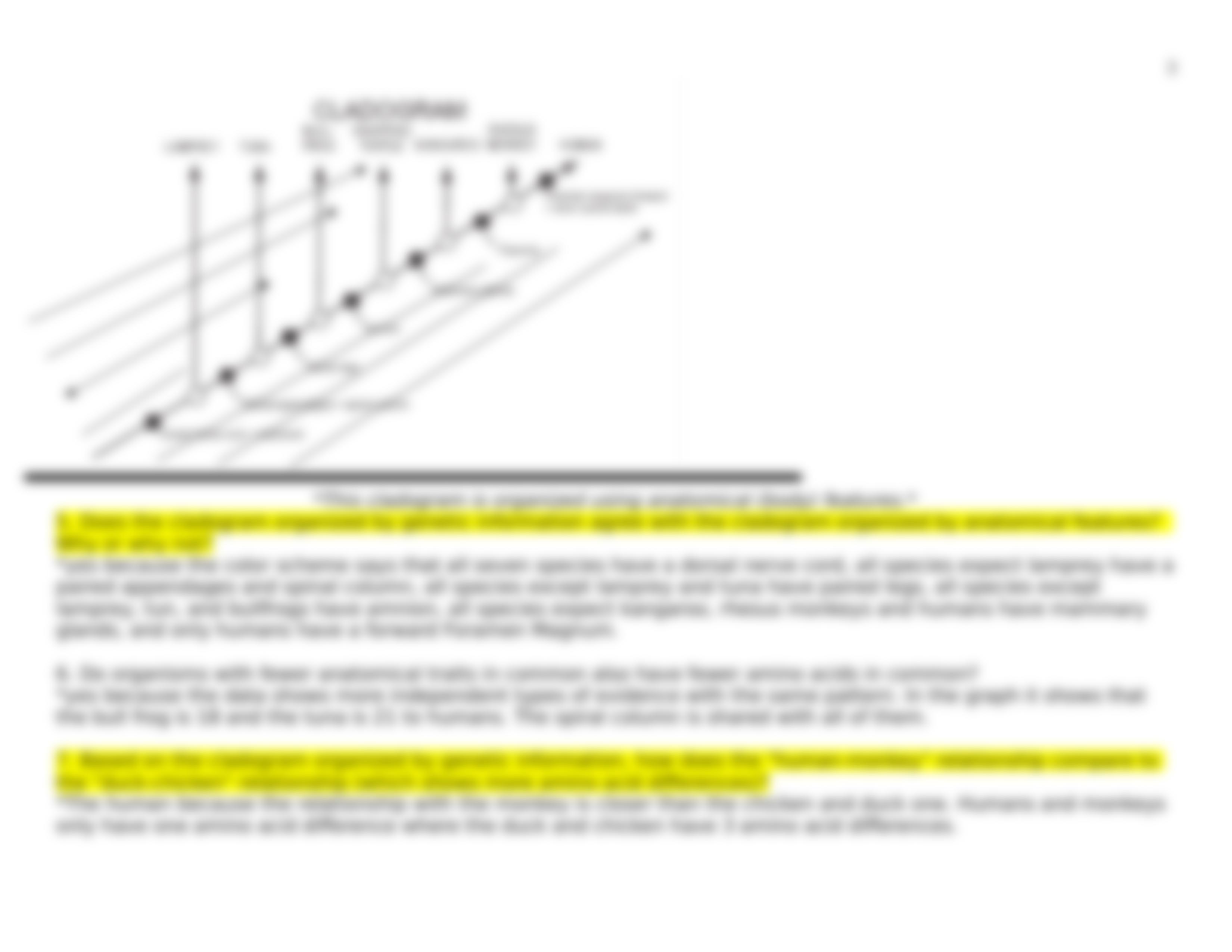 AAM_Cladogram Activity.doc_dn8mtprd9m8_page3