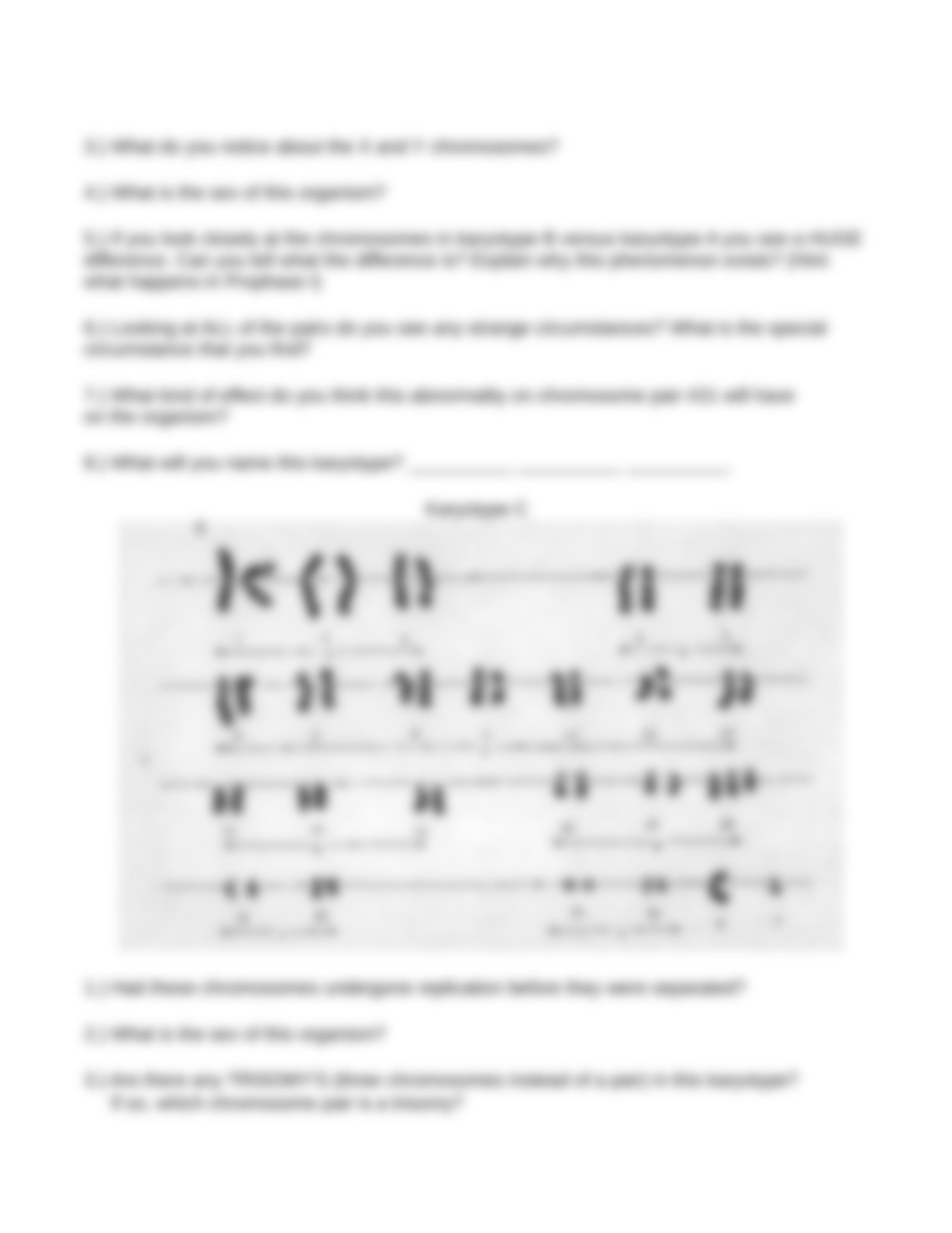 Copy_of_Biology_Karyotype_Worksheet_dnapog00a7s_page3