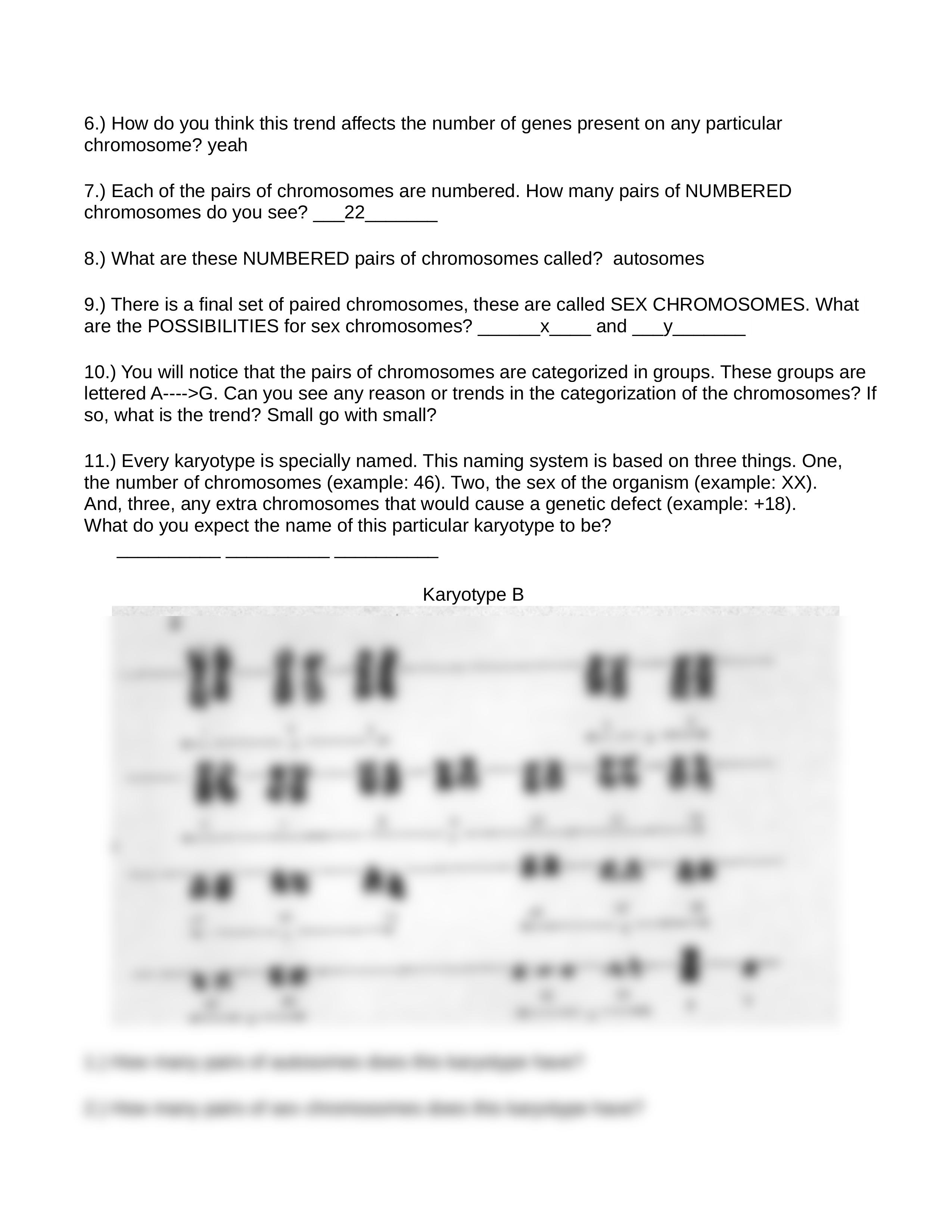 Copy_of_Biology_Karyotype_Worksheet_dnapog00a7s_page2