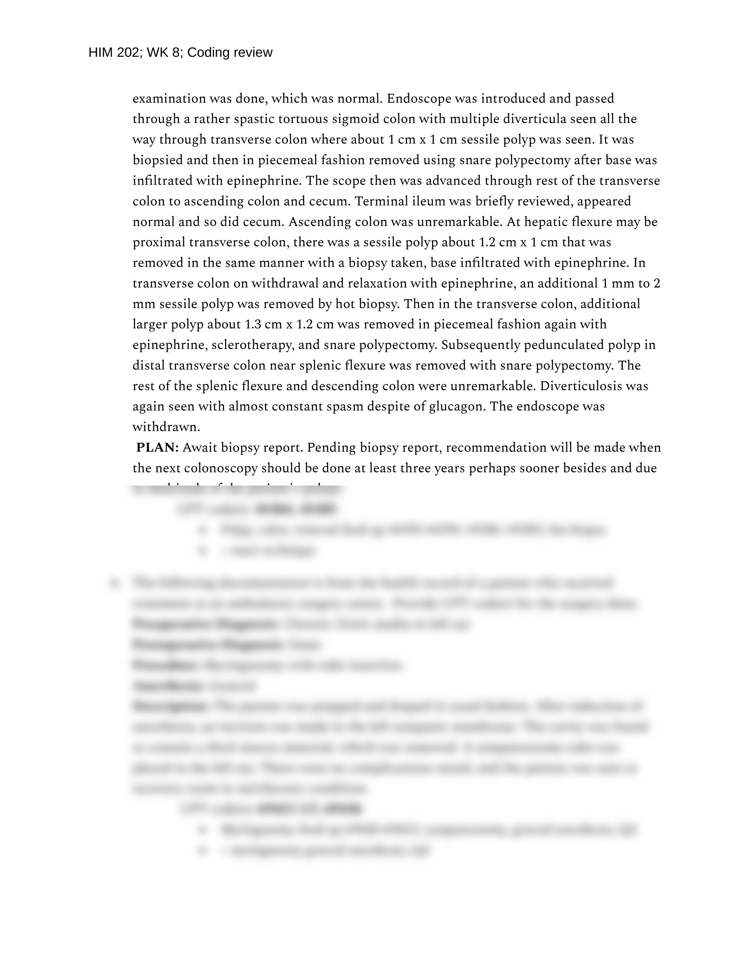 him206wk8codingreview.docx_dnbhn97pom8_page2