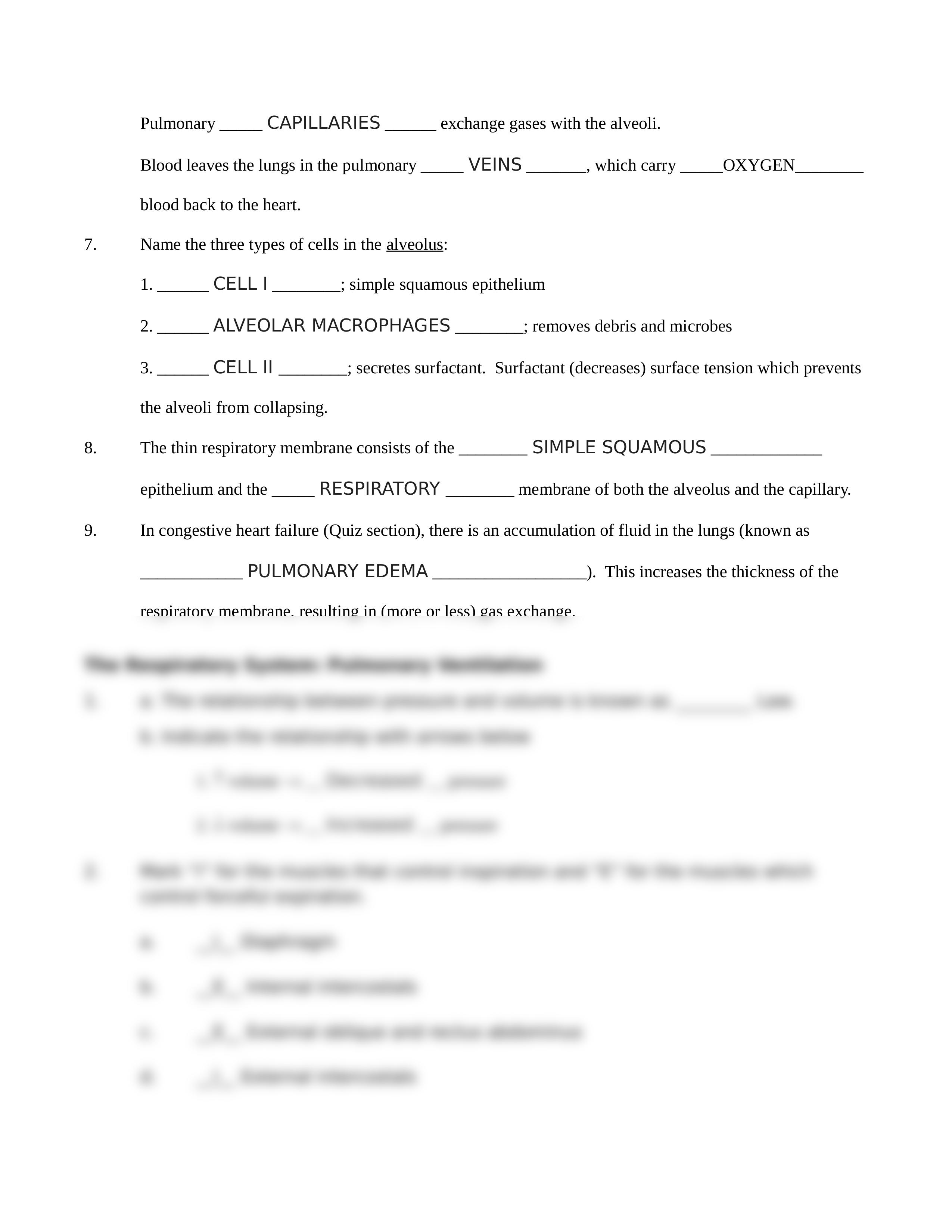 IP Exercise Shee3_dndjrohadoc_page2