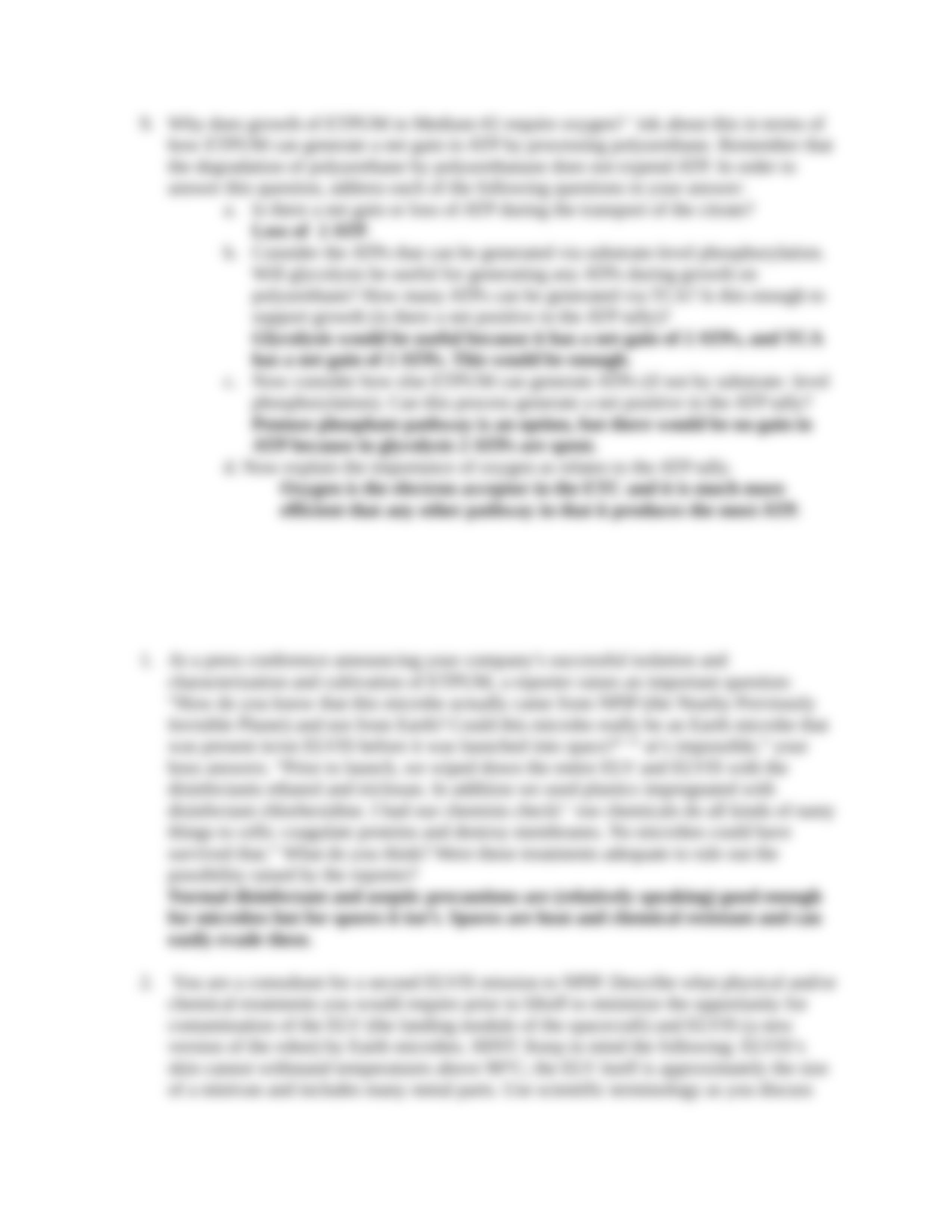 ELVIS case study.docx_dngueiwknf6_page3