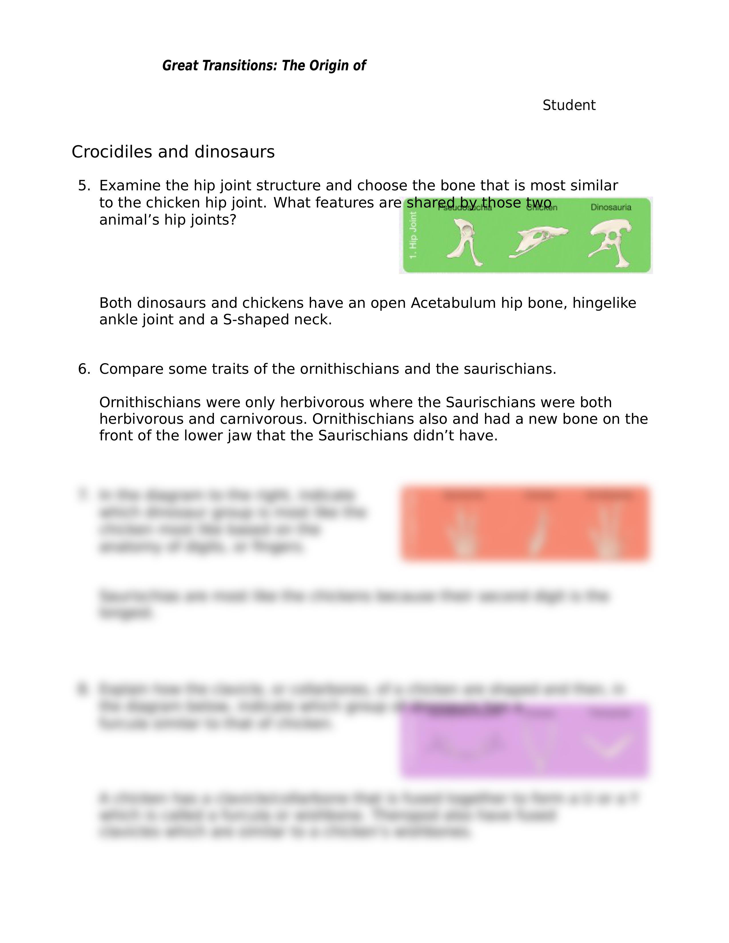 Lab 8 Comparative Anatomy of a Chicken Worksheet.docx_dnhcrmv5ni5_page2