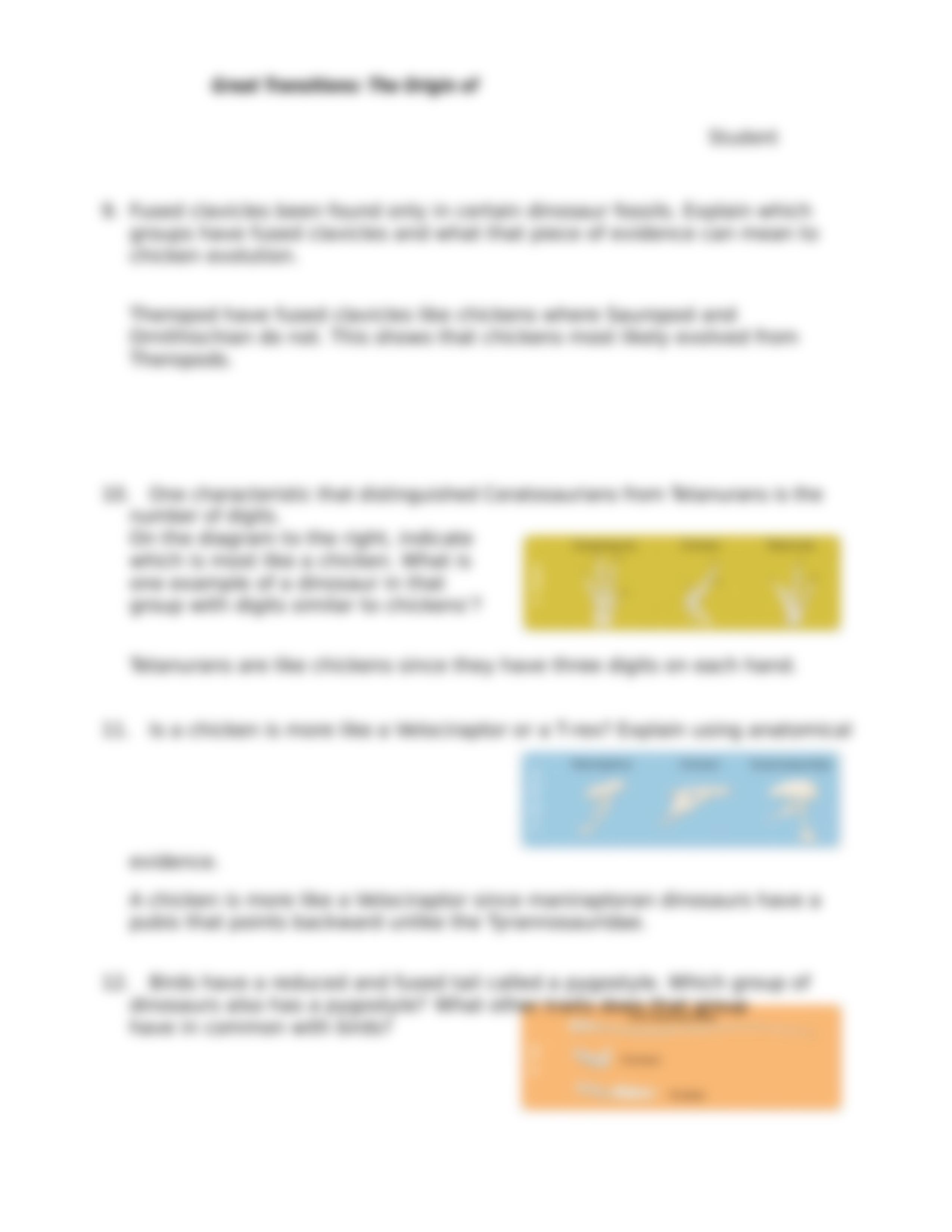 Lab 8 Comparative Anatomy of a Chicken Worksheet.docx_dnhcrmv5ni5_page3