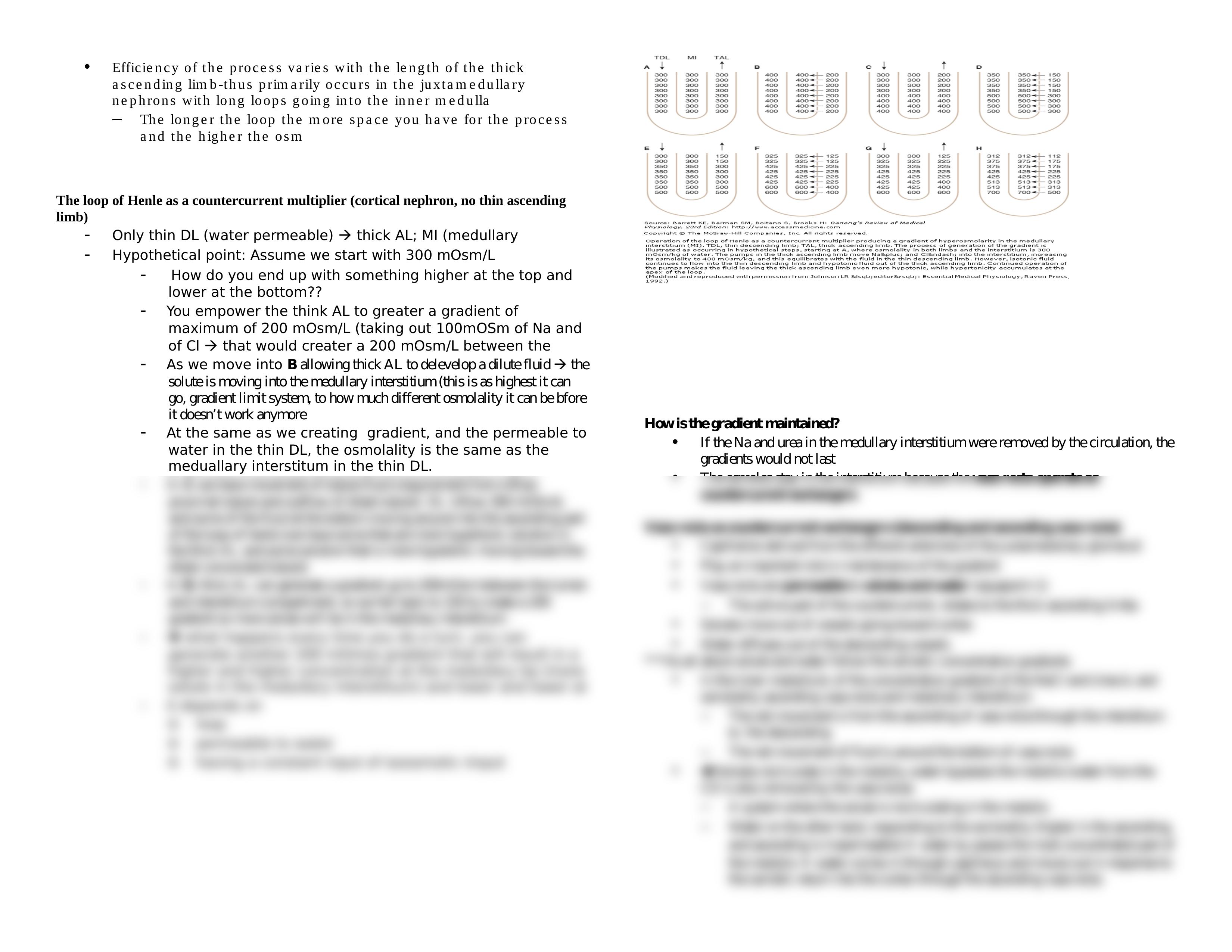 Lecture 07 - Concentration and Dilution of Urine_dnksev4uf6x_page2