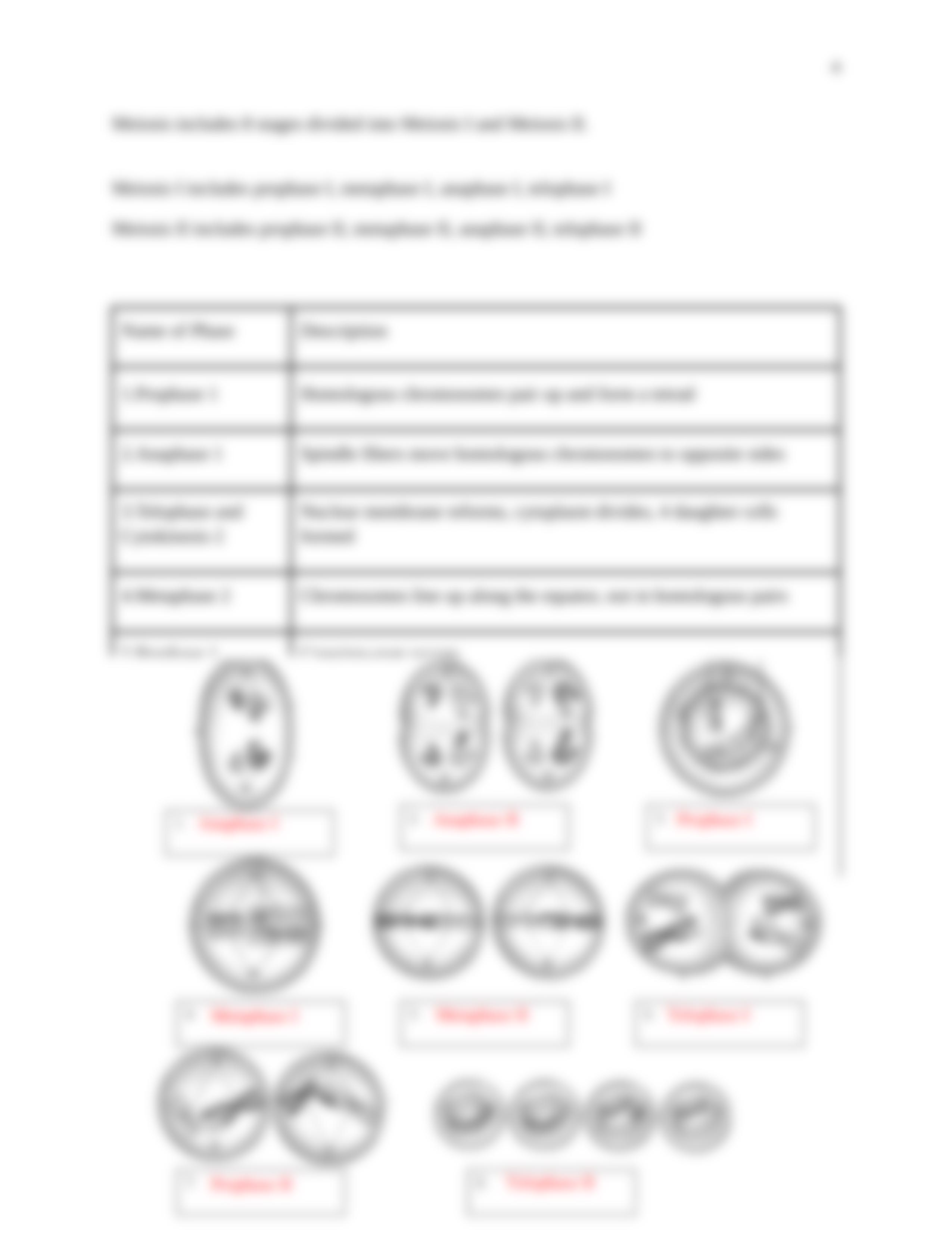 Lab 7 Cell Reproduction and Genetics BIO 1010.docx_dnmug1bcxpk_page4