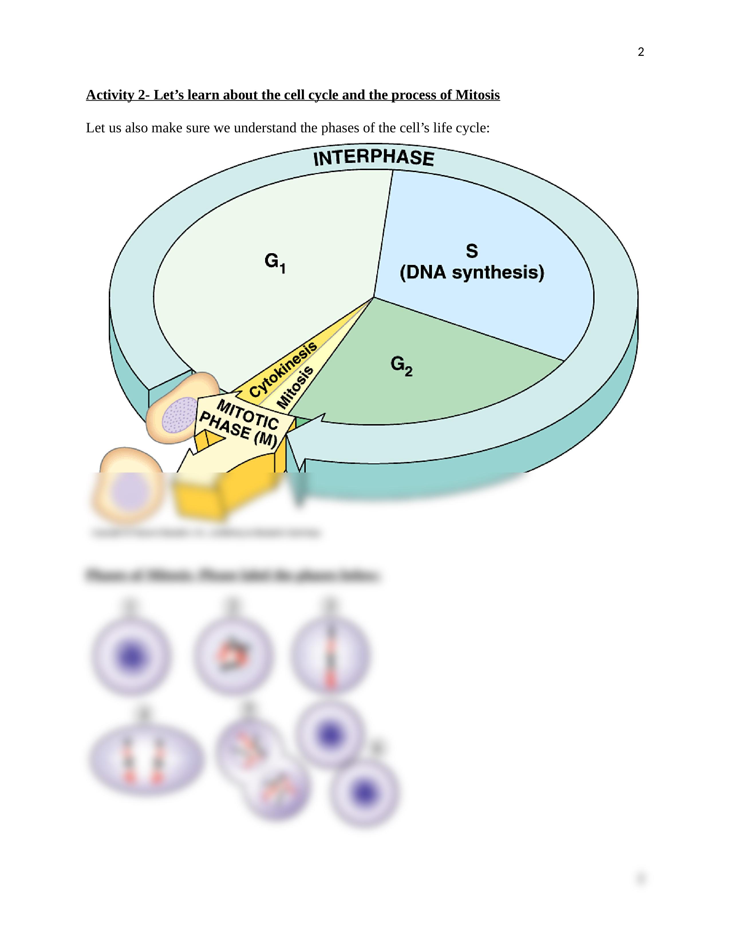 Lab 7 Cell Reproduction and Genetics BIO 1010.docx_dnmug1bcxpk_page2