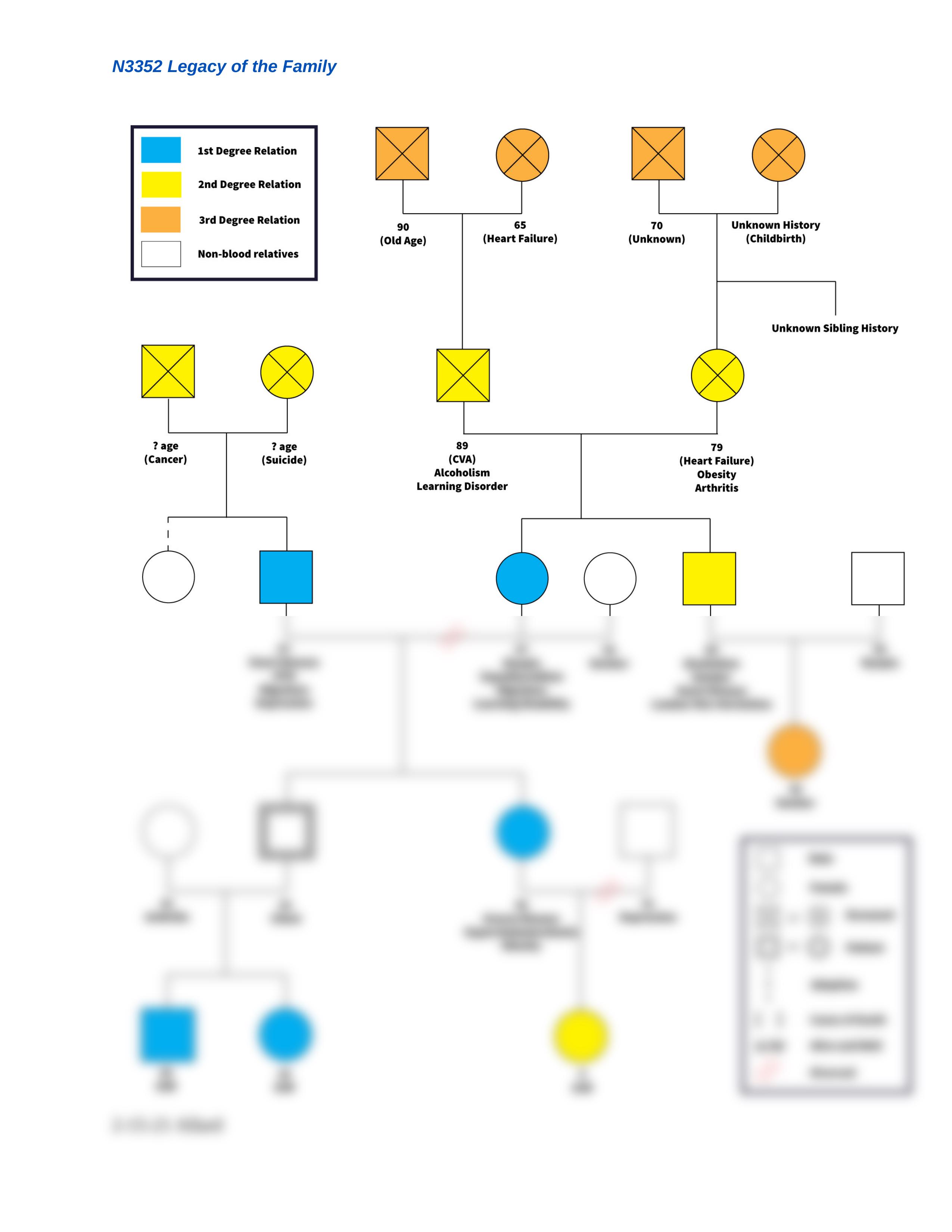 N3352 Module 4 Assignment 1 Interview Family Genogram-2.doc_dnofmau3e26_page2