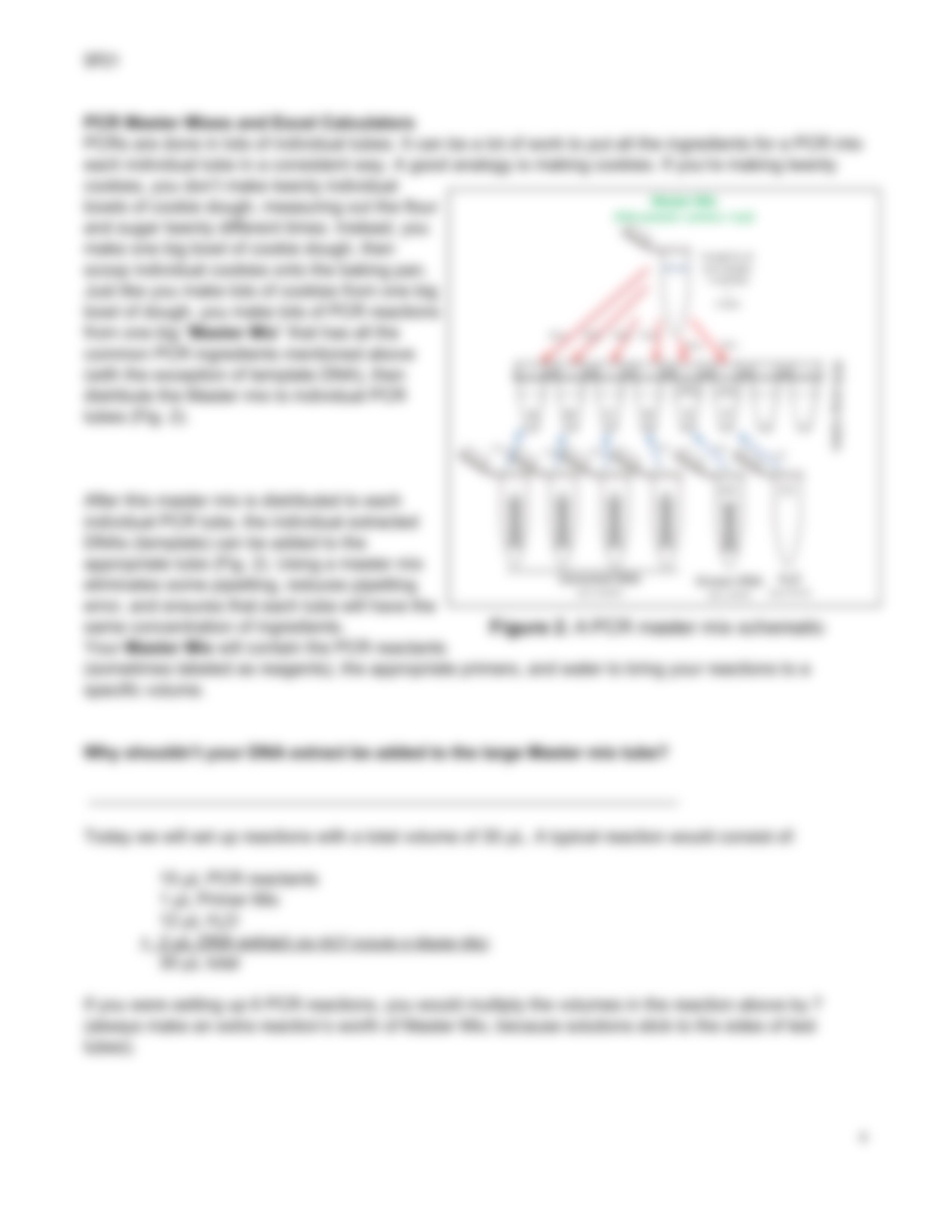 PRINT & READ ME WK. 6 - PCR and Primer Mapping - SP21.pdf_dnrfyfzdhgz_page4