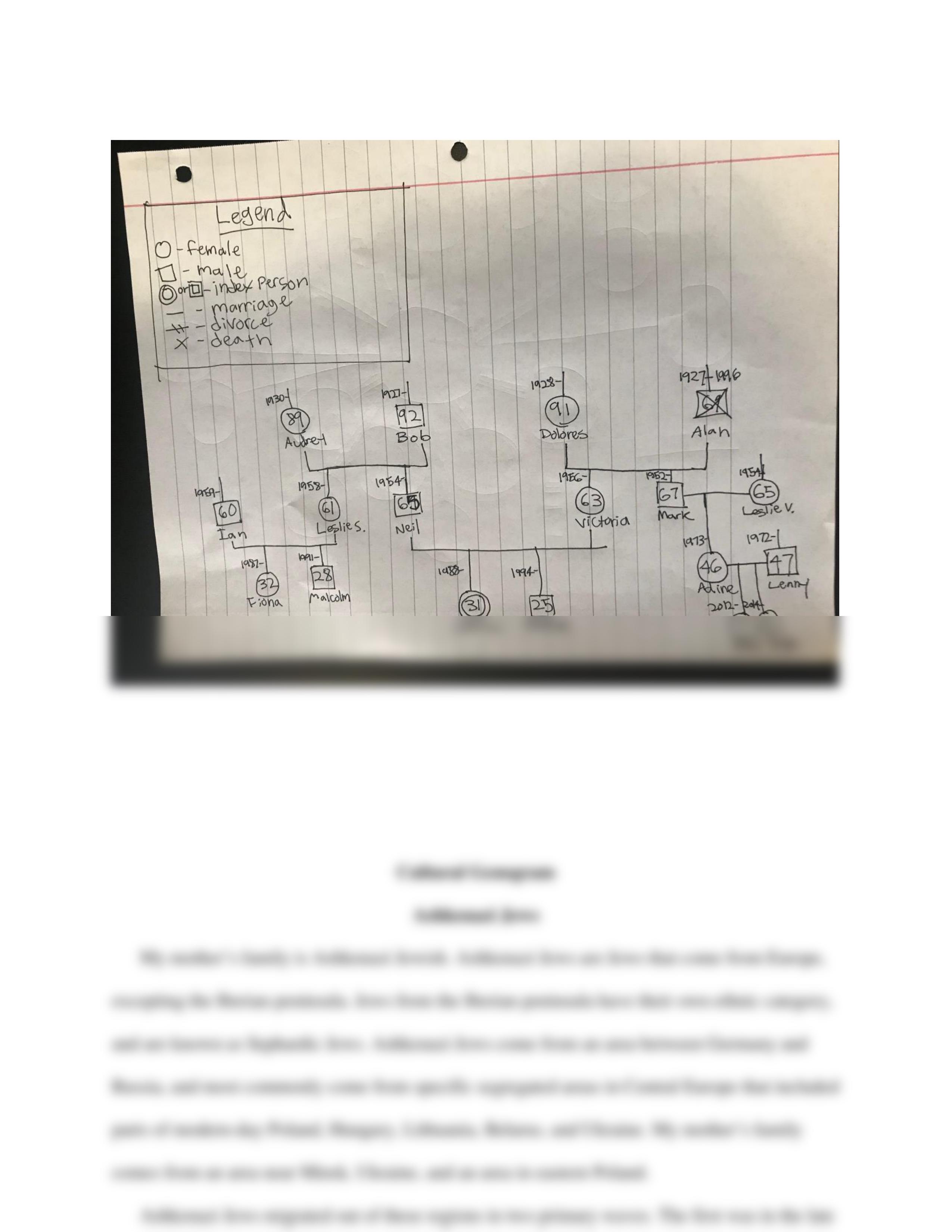 CULTURAL GENOGRAM Example.pdf_dnvelnsl212_page2