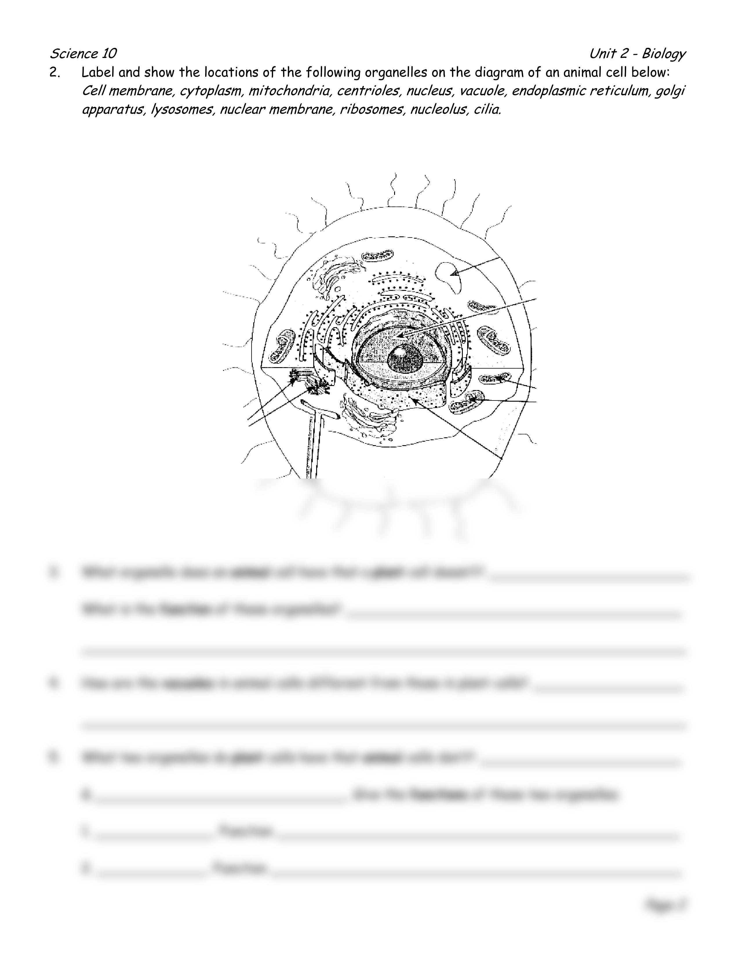 Cell Structure Organelles_dnwk41dcbwr_page2