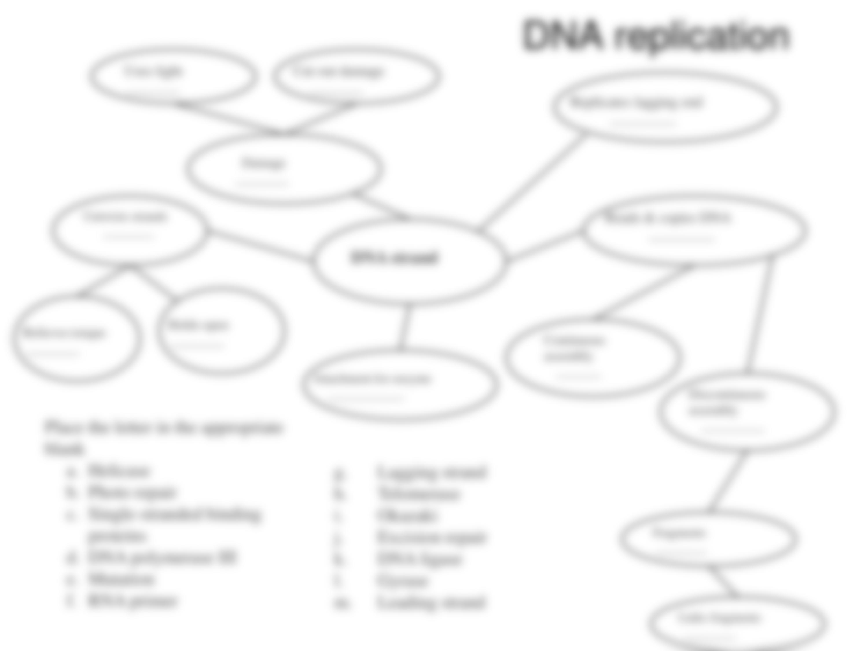 concept map 2_dnx4jjoqb6r_page4