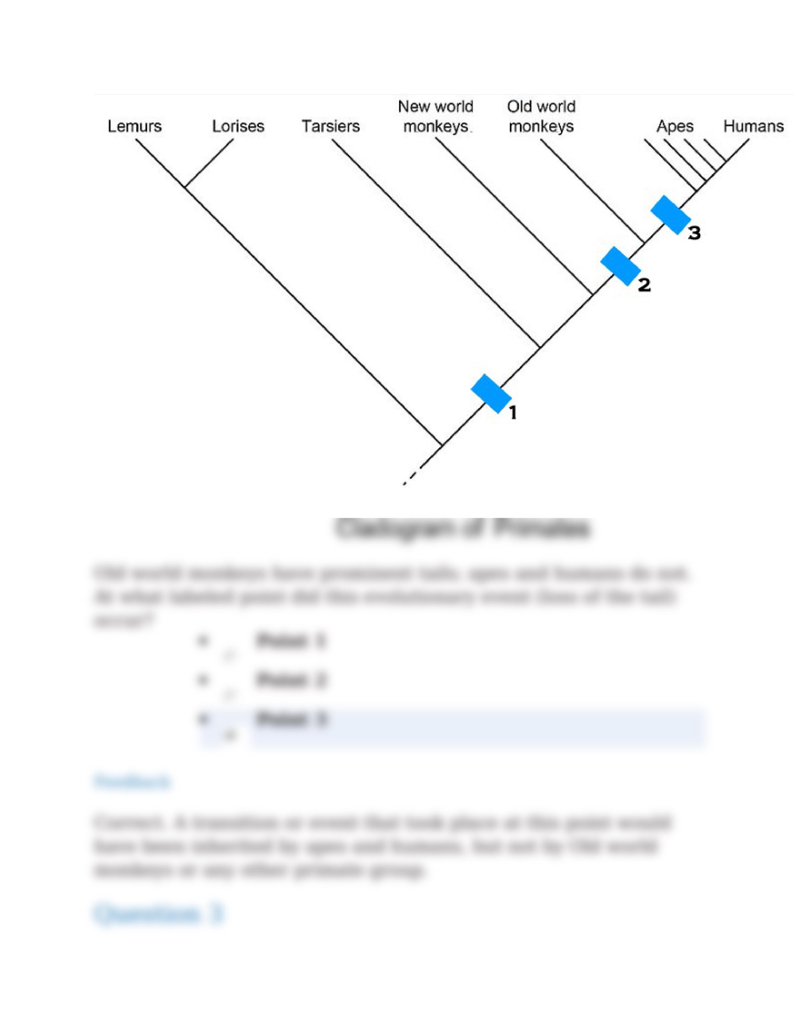 Evolution Quiz_do26pzbjc2j_page2