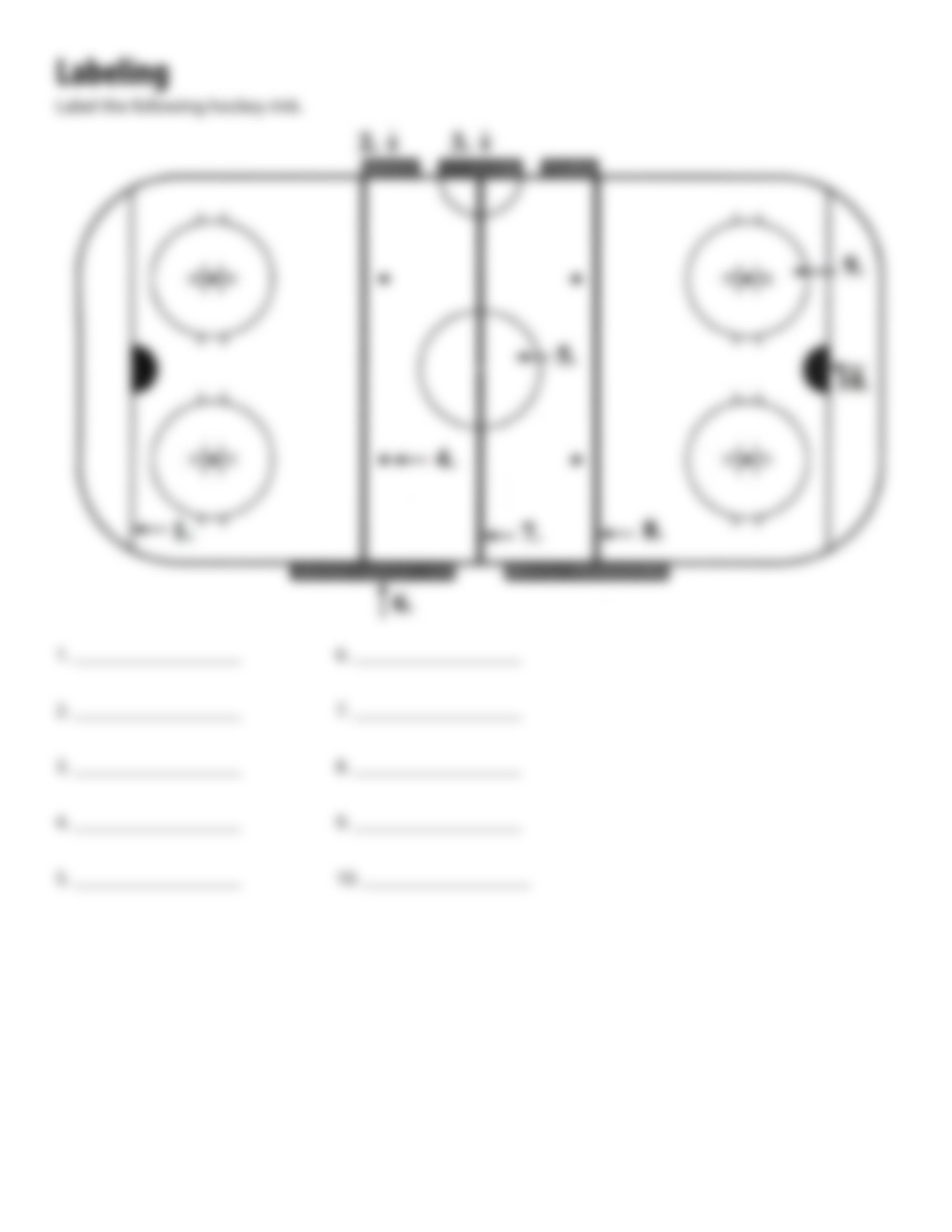 indv_team_sports_ice_hockey_assignment.pdf_dobe1c9lkzx_page5