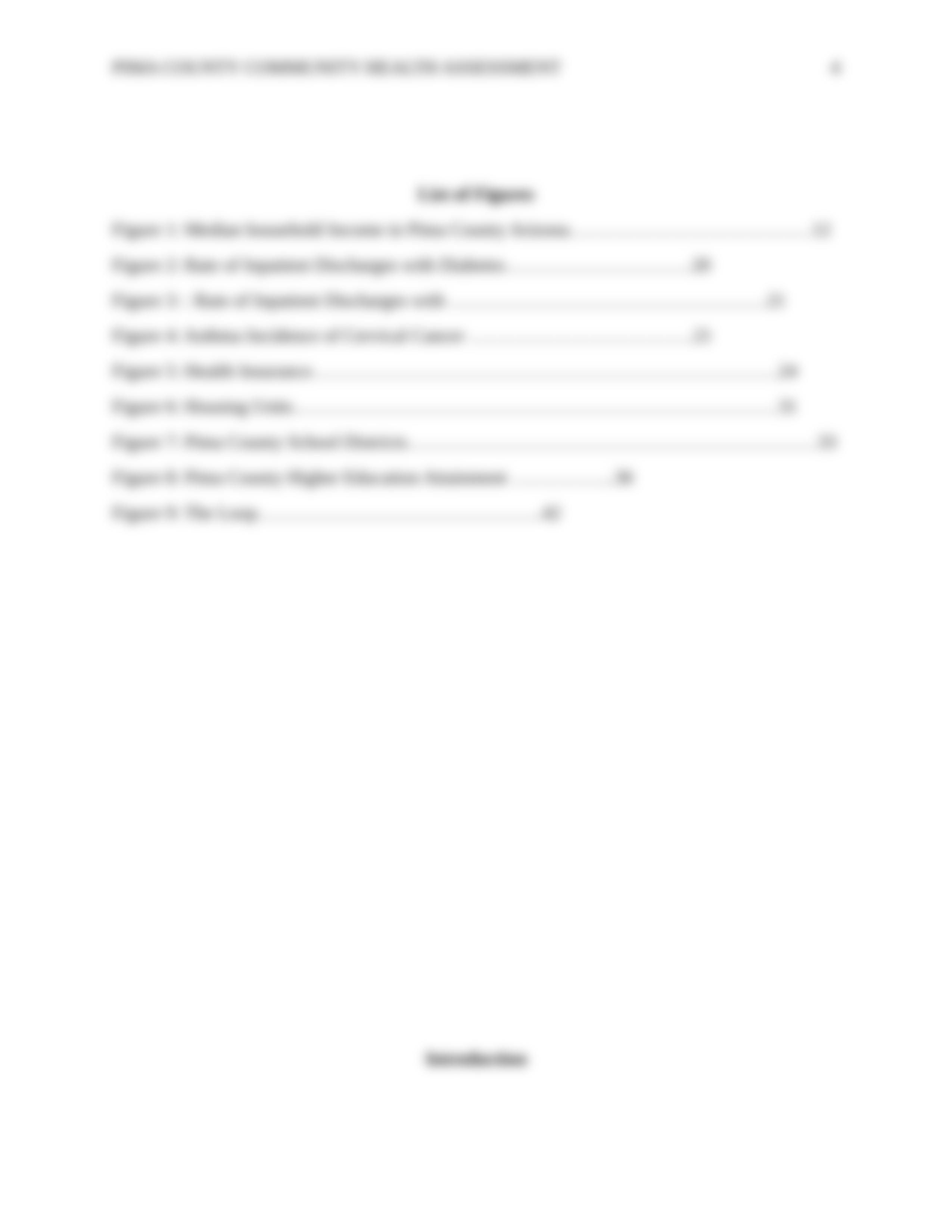 Group 7_Pima County Community Health Assessment (1)-4.docx_dod3qcdzllc_page4