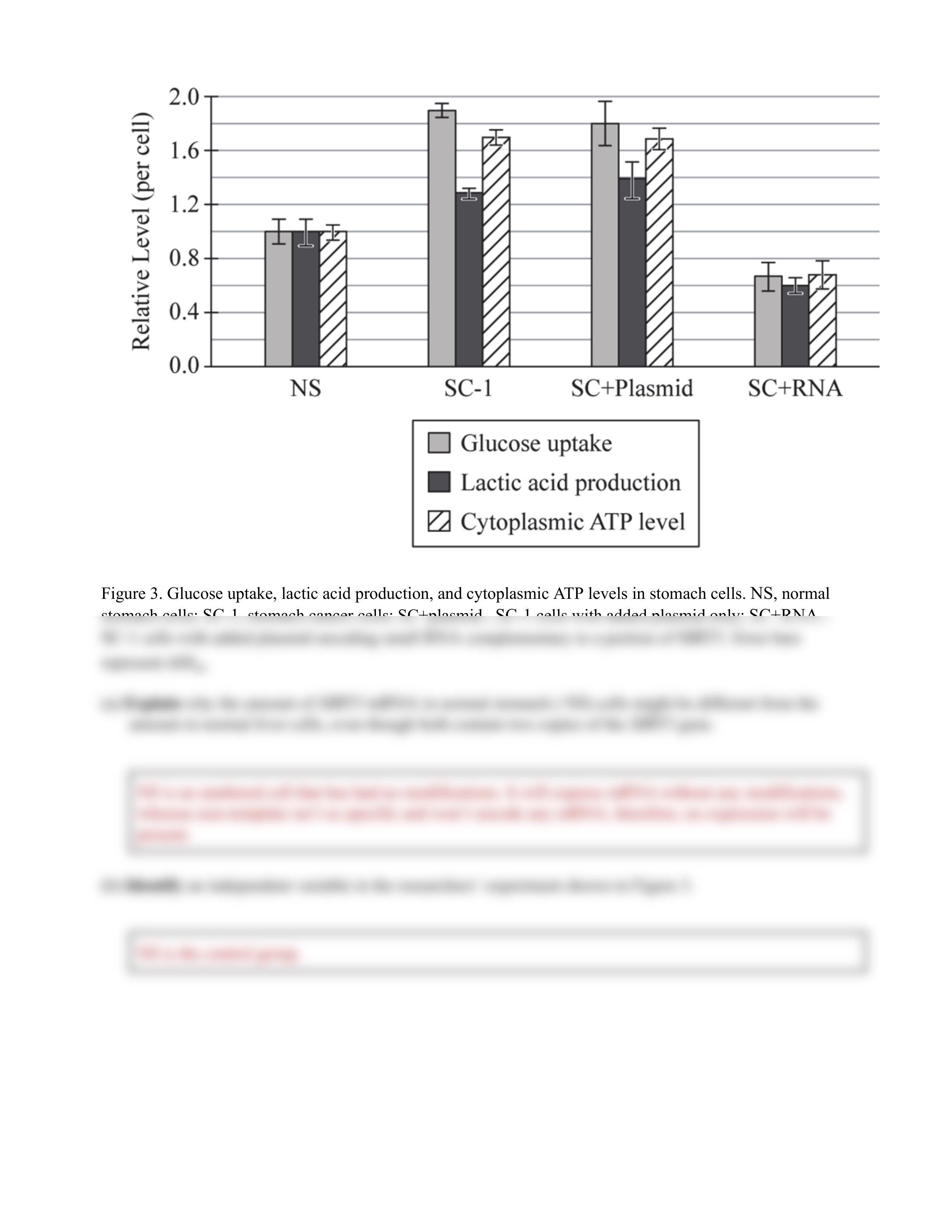 B1 Q1 Stomach Cells Cancer Metabolism Prompt.pdf_doghr7a47z2_page2