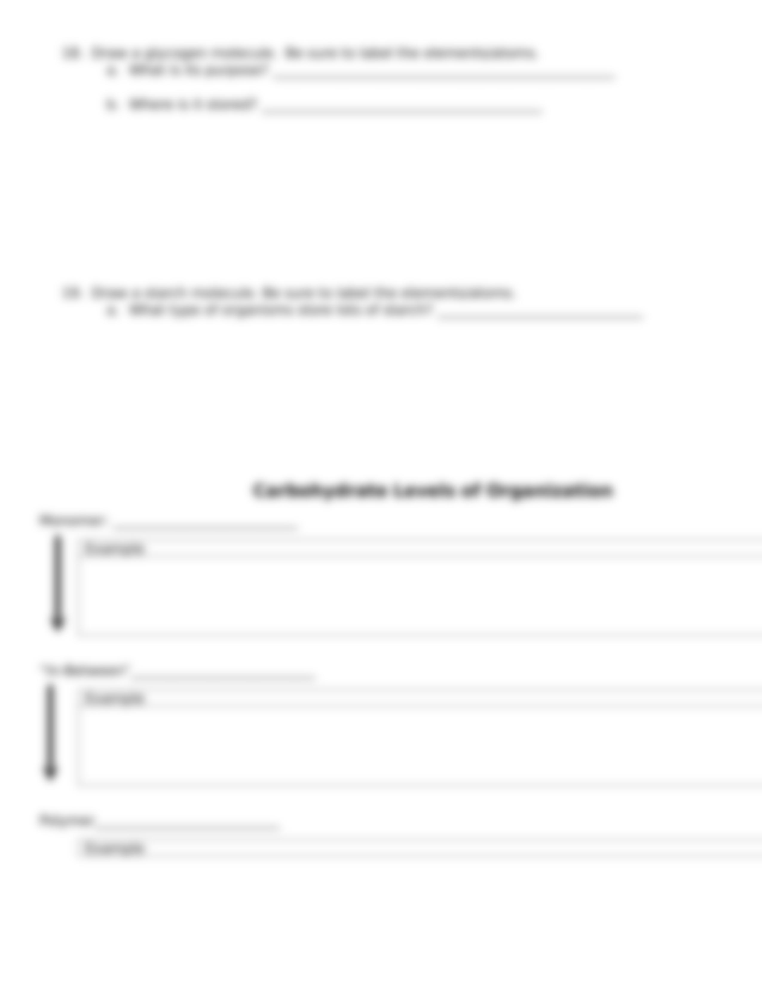 carbohydrate_worksheet (1).doc_doixs6hs80m_page3