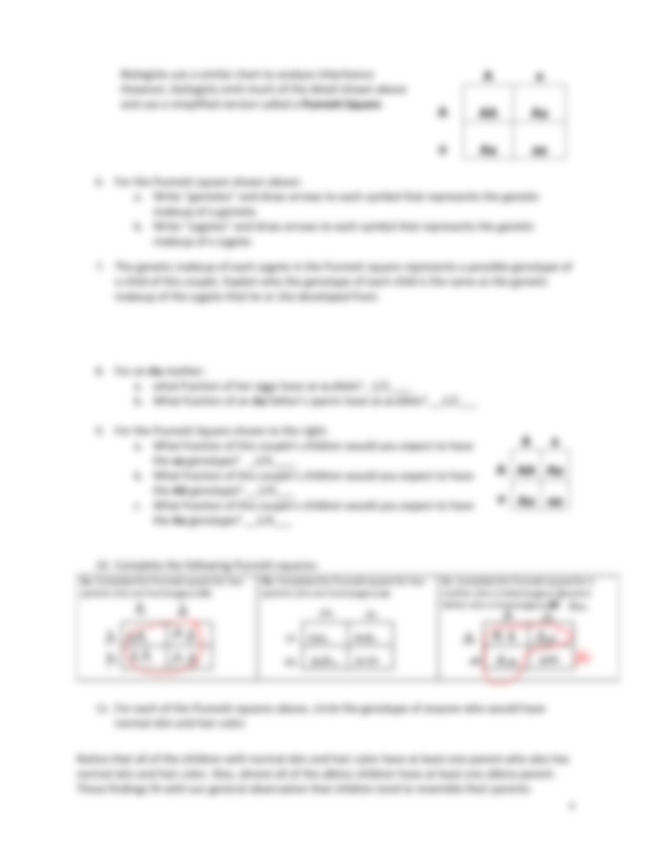 Activity 7 Intro to Genetics KEY.pdf_dov55gkog4y_page3