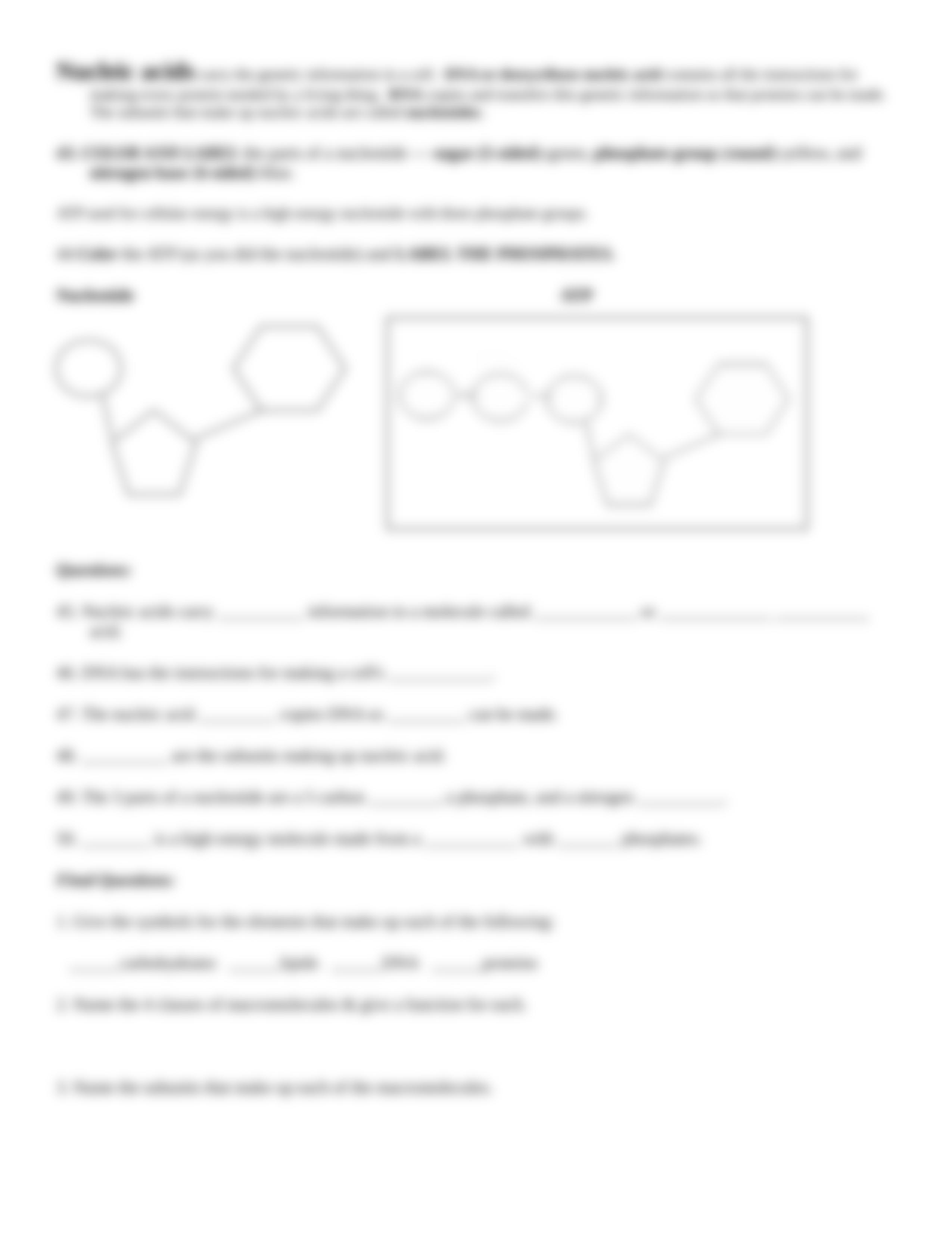 macromolecule coloring sheet1.doc_dovhebjrjp9_page5