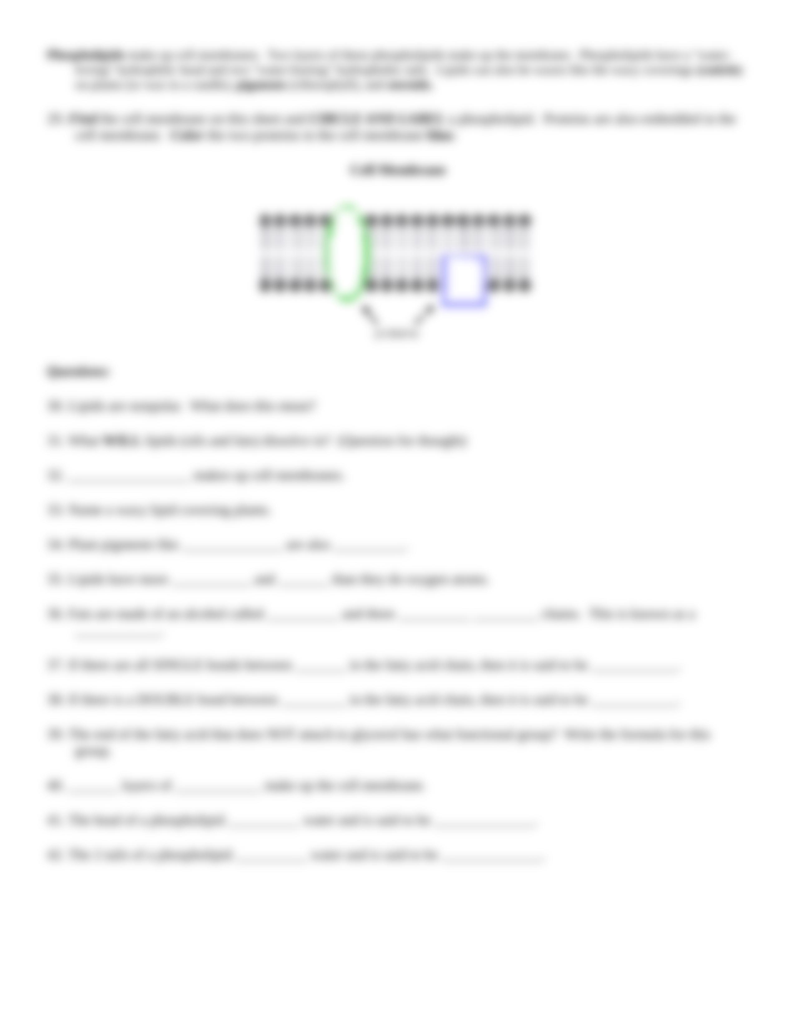 macromolecule coloring sheet1.doc_dovhebjrjp9_page4