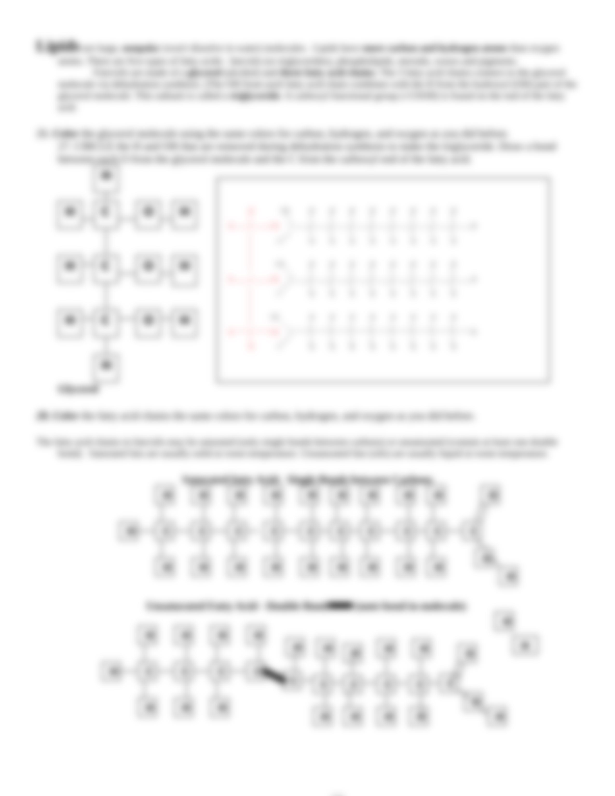 macromolecule coloring sheet1.doc_dovhebjrjp9_page3