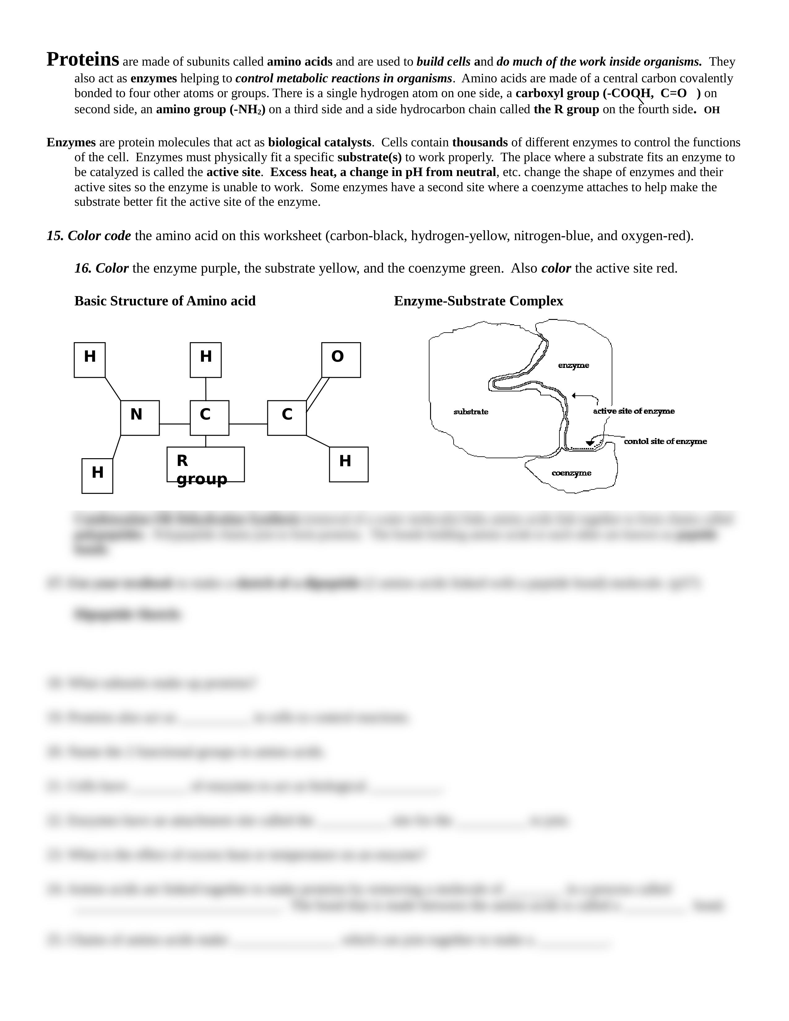 macromolecule coloring sheet1.doc_dovhebjrjp9_page2