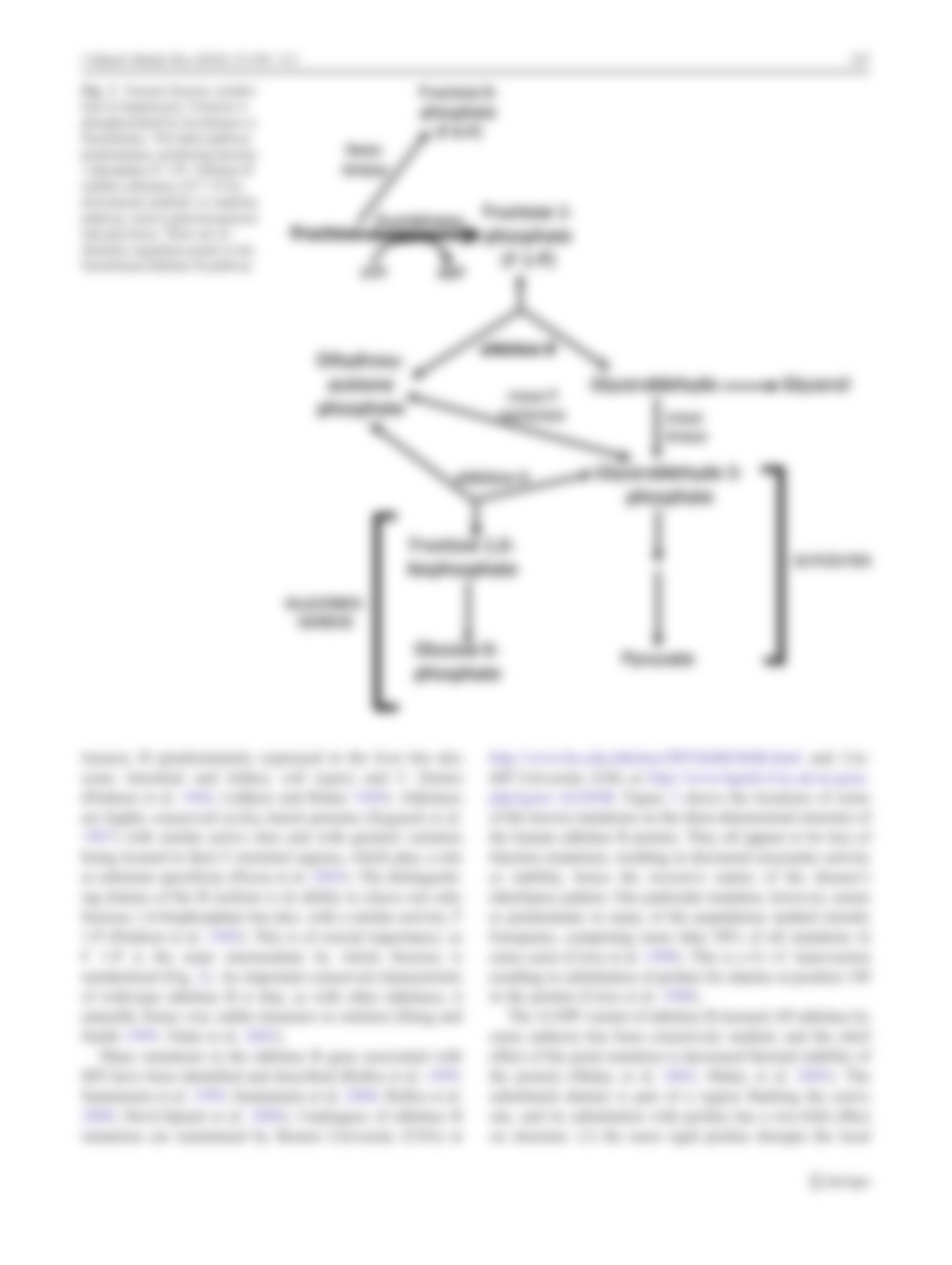 BIOCHEM 385 - Extra Credit #1 Key_doxqnpsdqcp_page5