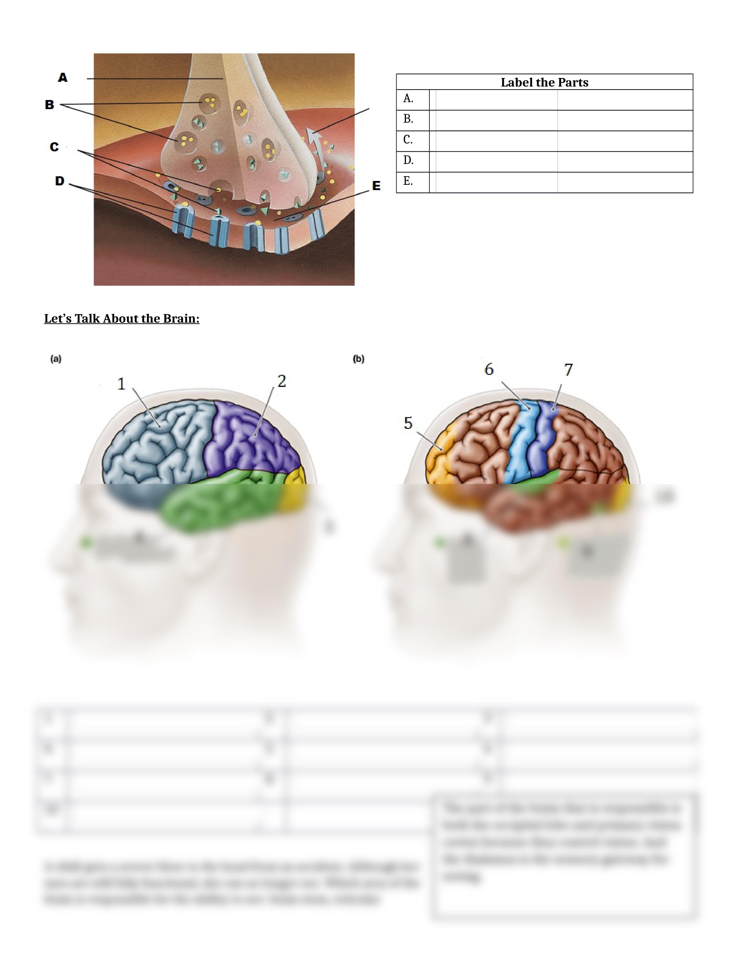 Midterm.docx_dp17fdmm39w_page2