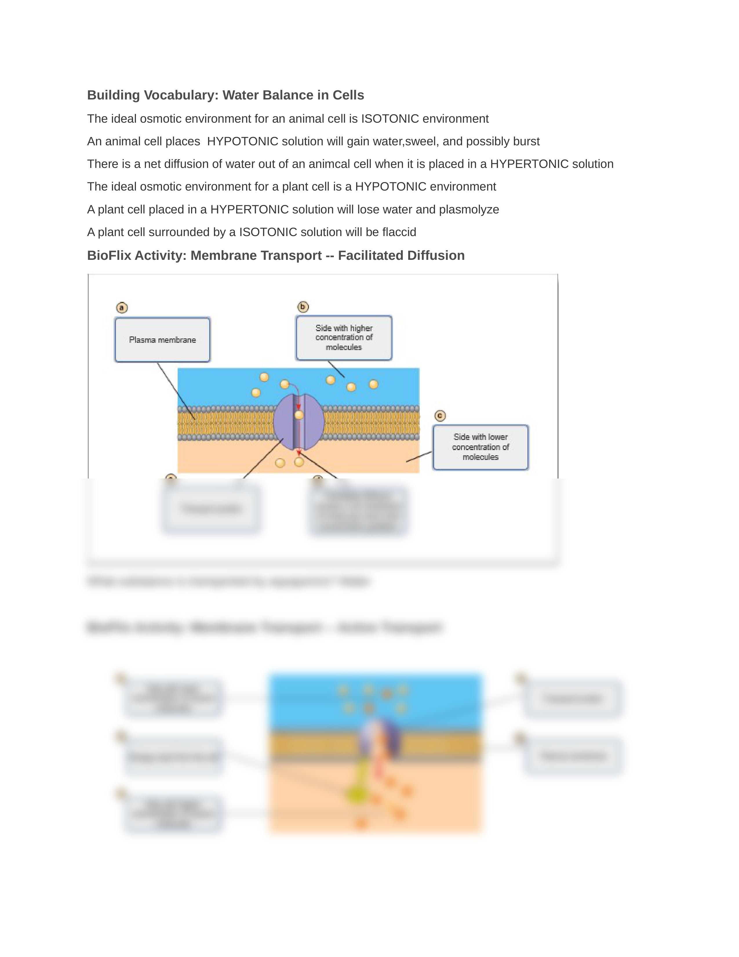 Chapter 5.docx_dpfa9pji6dd_page2