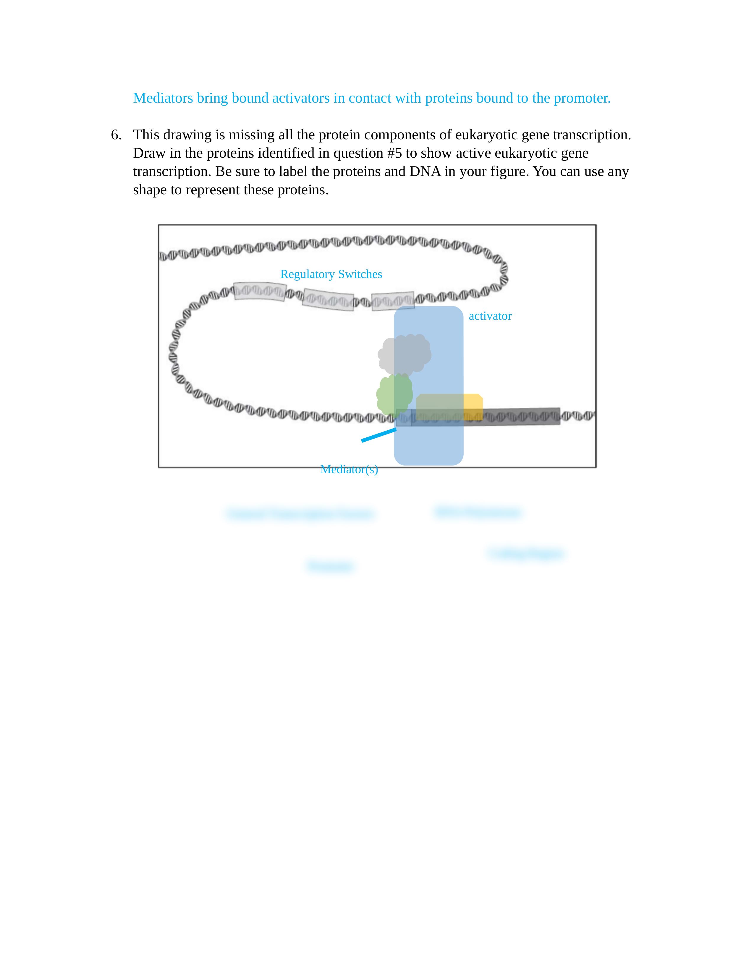 Modeling the Regulatory Switches of the PITX1 Gene in Stickleback Fish.docx_dpfswlr983f_page2