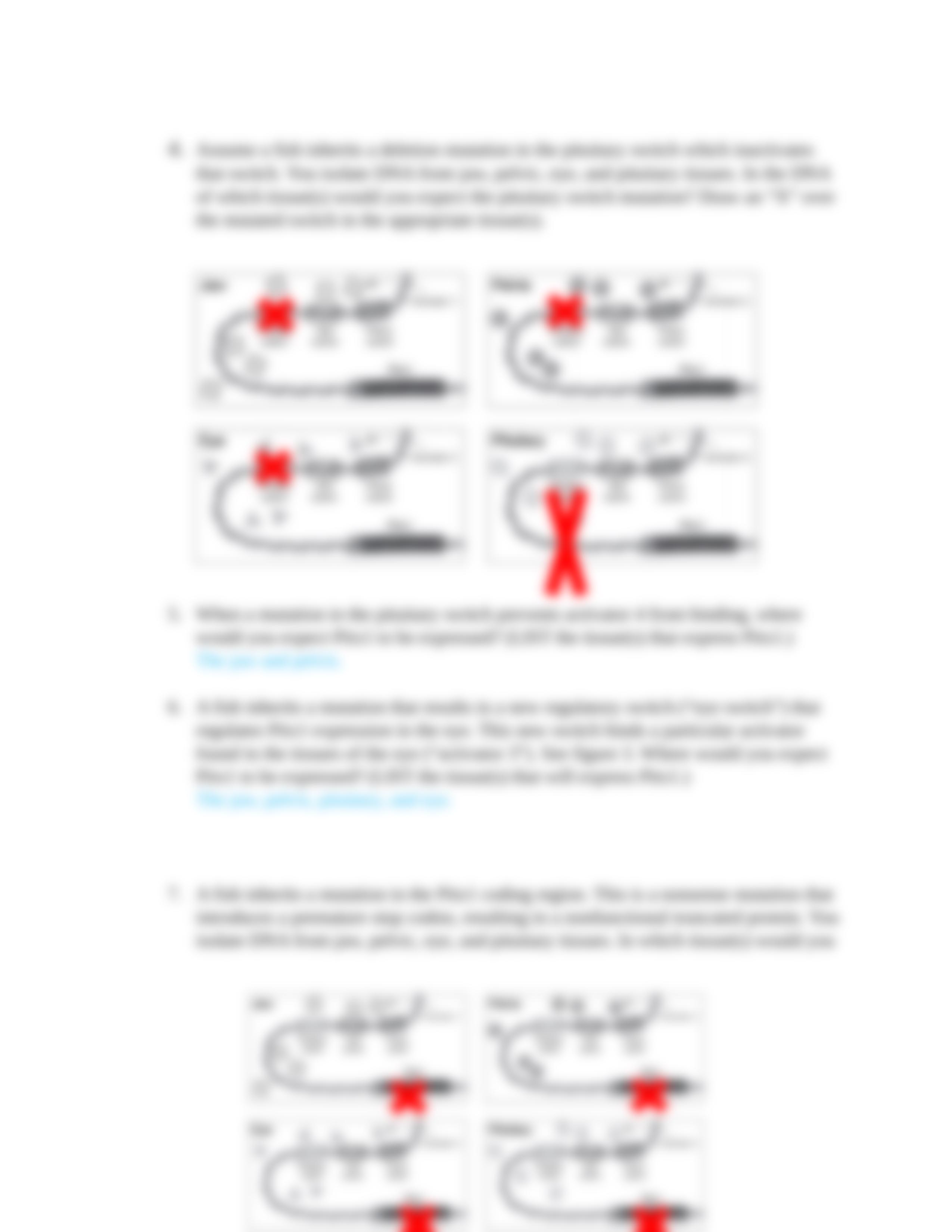 Modeling the Regulatory Switches of the PITX1 Gene in Stickleback Fish.docx_dpfswlr983f_page3