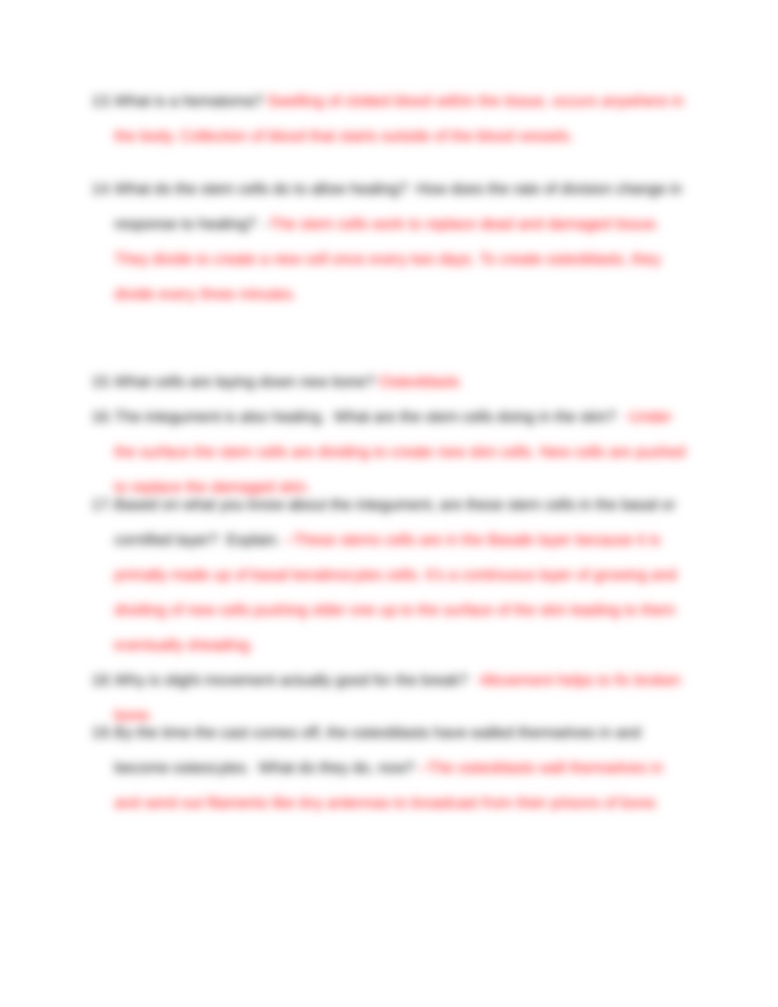 Body Story Bone worksheet(1).docx_dpmdt4ve5rk_page3