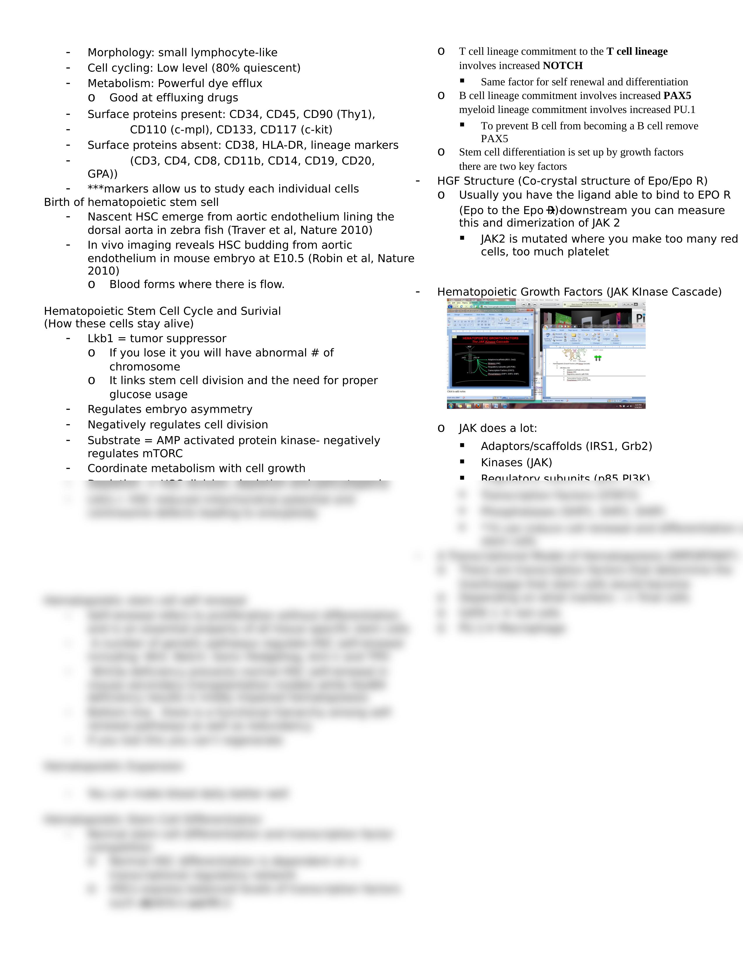 Lecture 02 - Stem cells and hematopoiesis_dppwrtz2251_page2