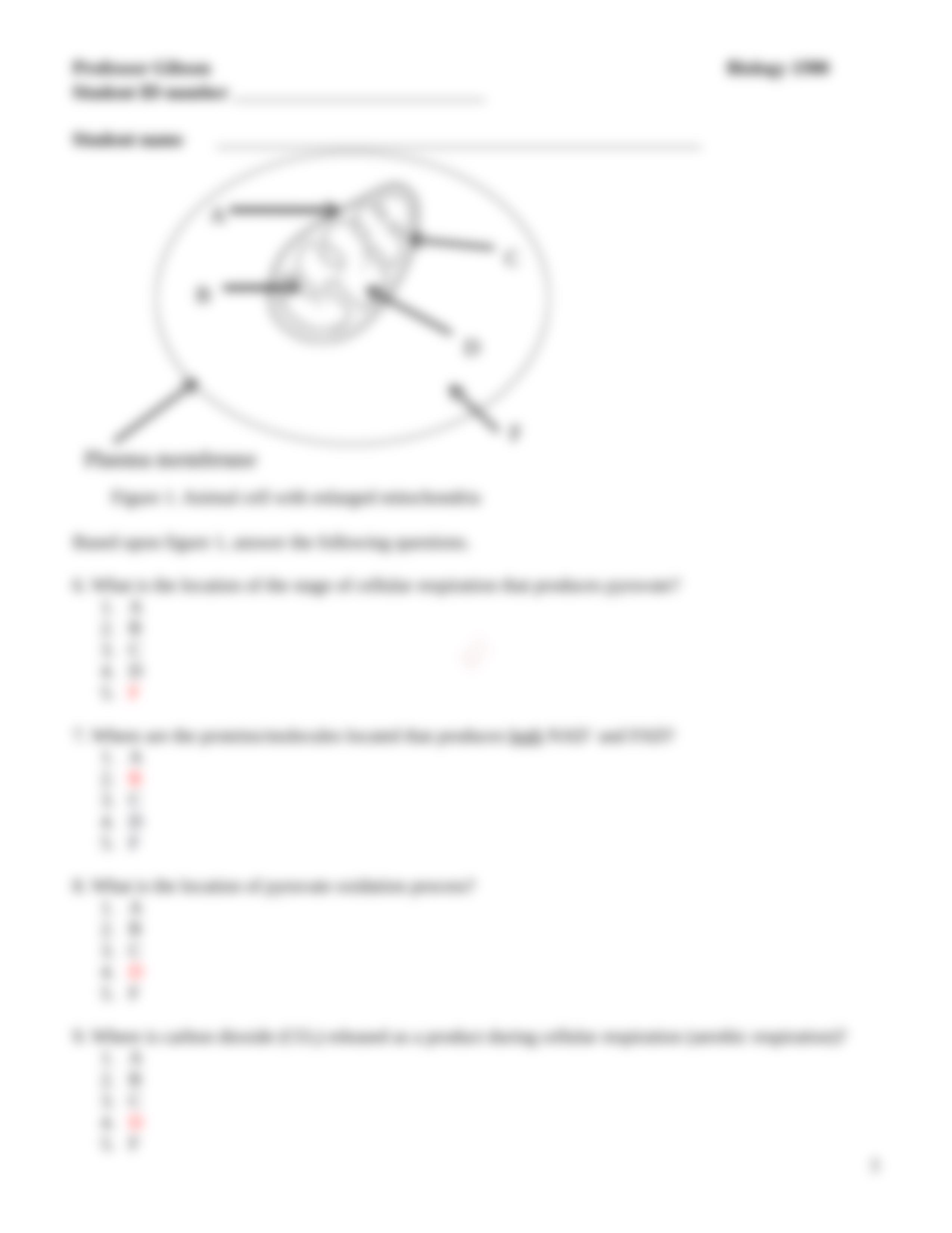 Exam Three  Version A KEY for Bb (1).docx_dpu73bgp80g_page3