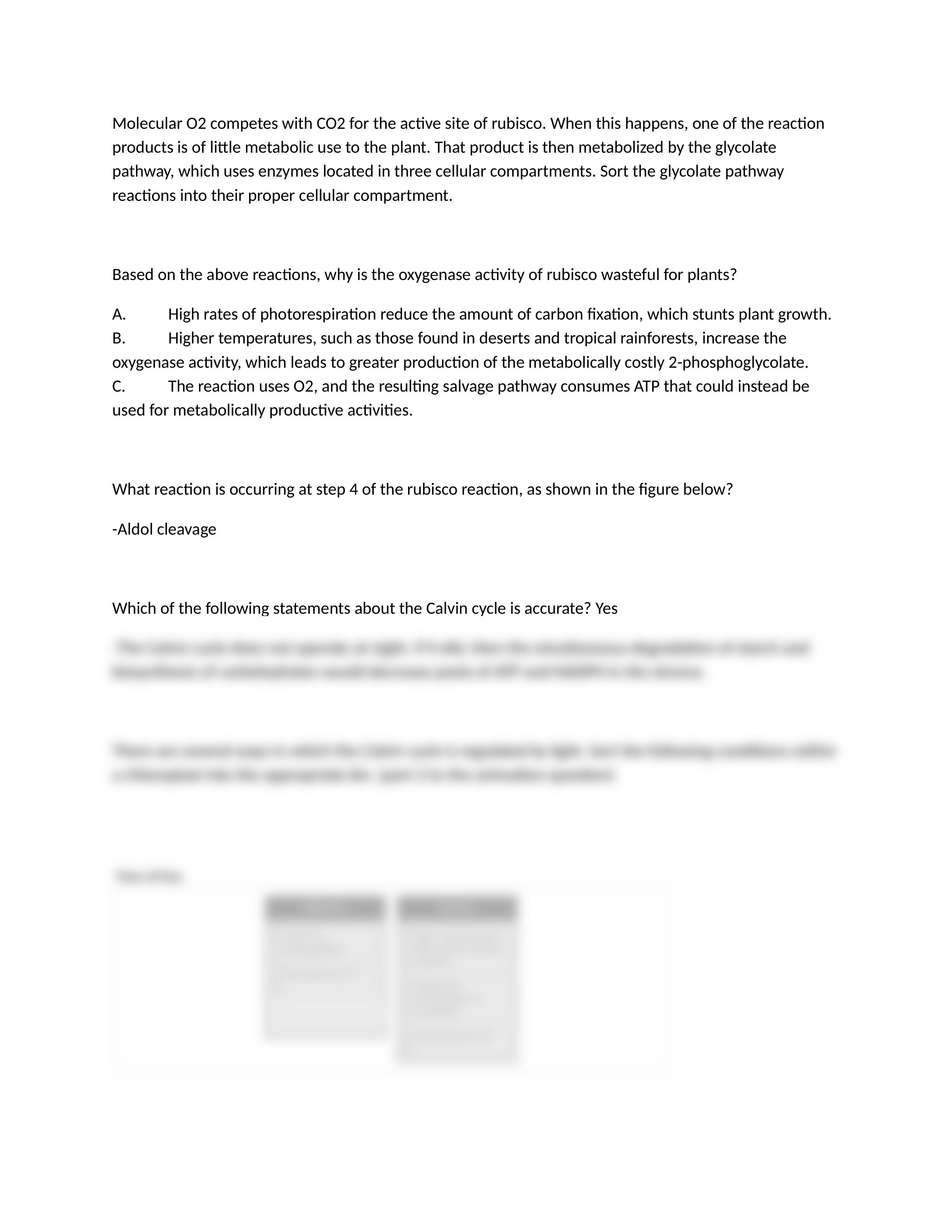 SW4.docx_dpyhubbyzof_page2