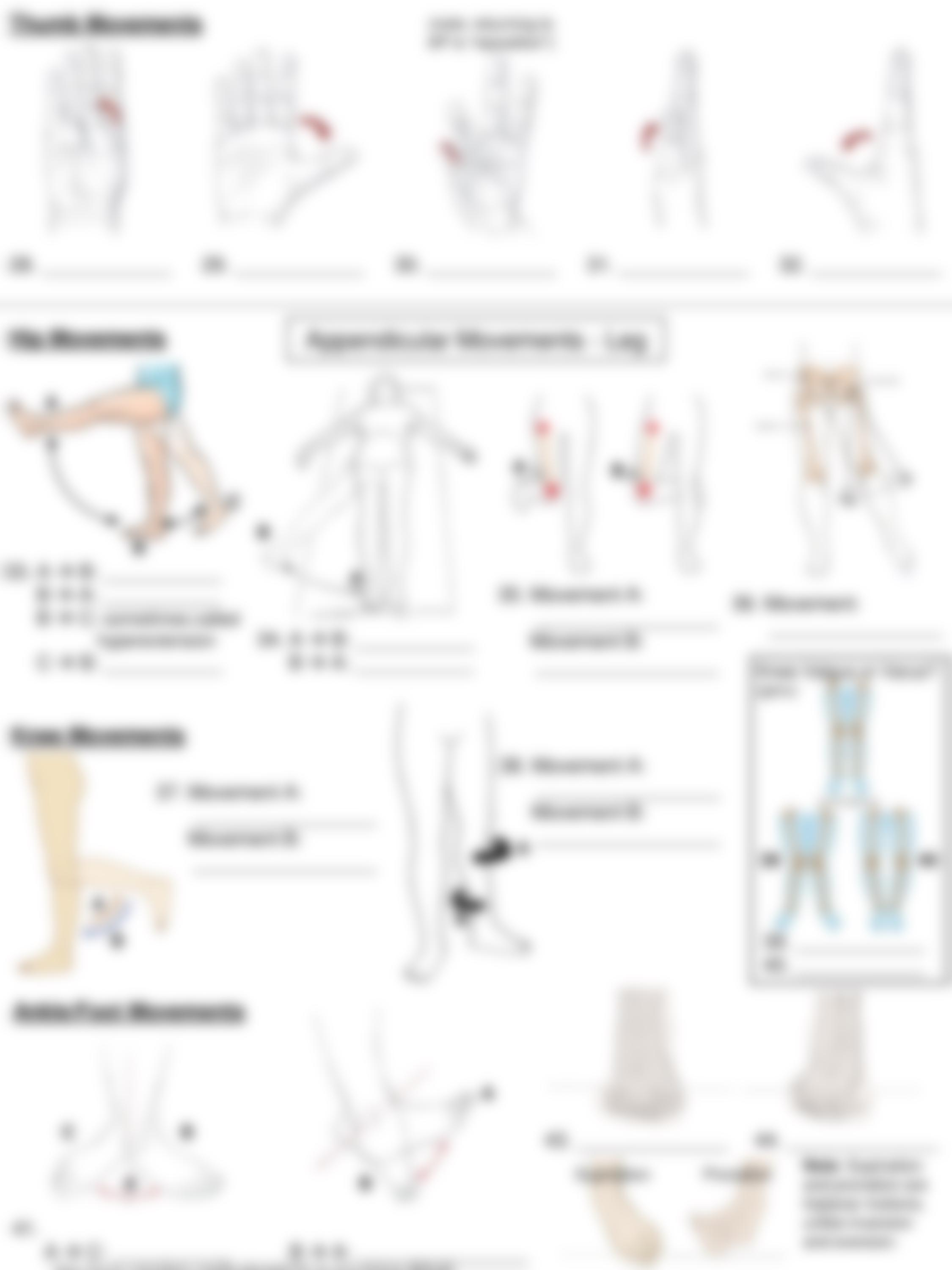 Lab Articulations WS.pdf_dpzj8t0bt45_page3