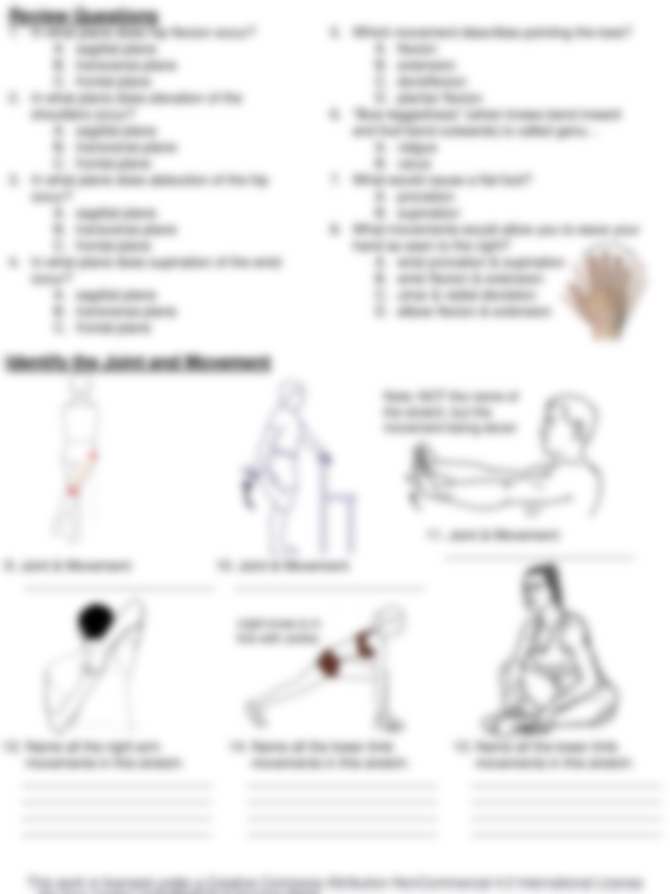 Lab Articulations WS.pdf_dpzj8t0bt45_page4