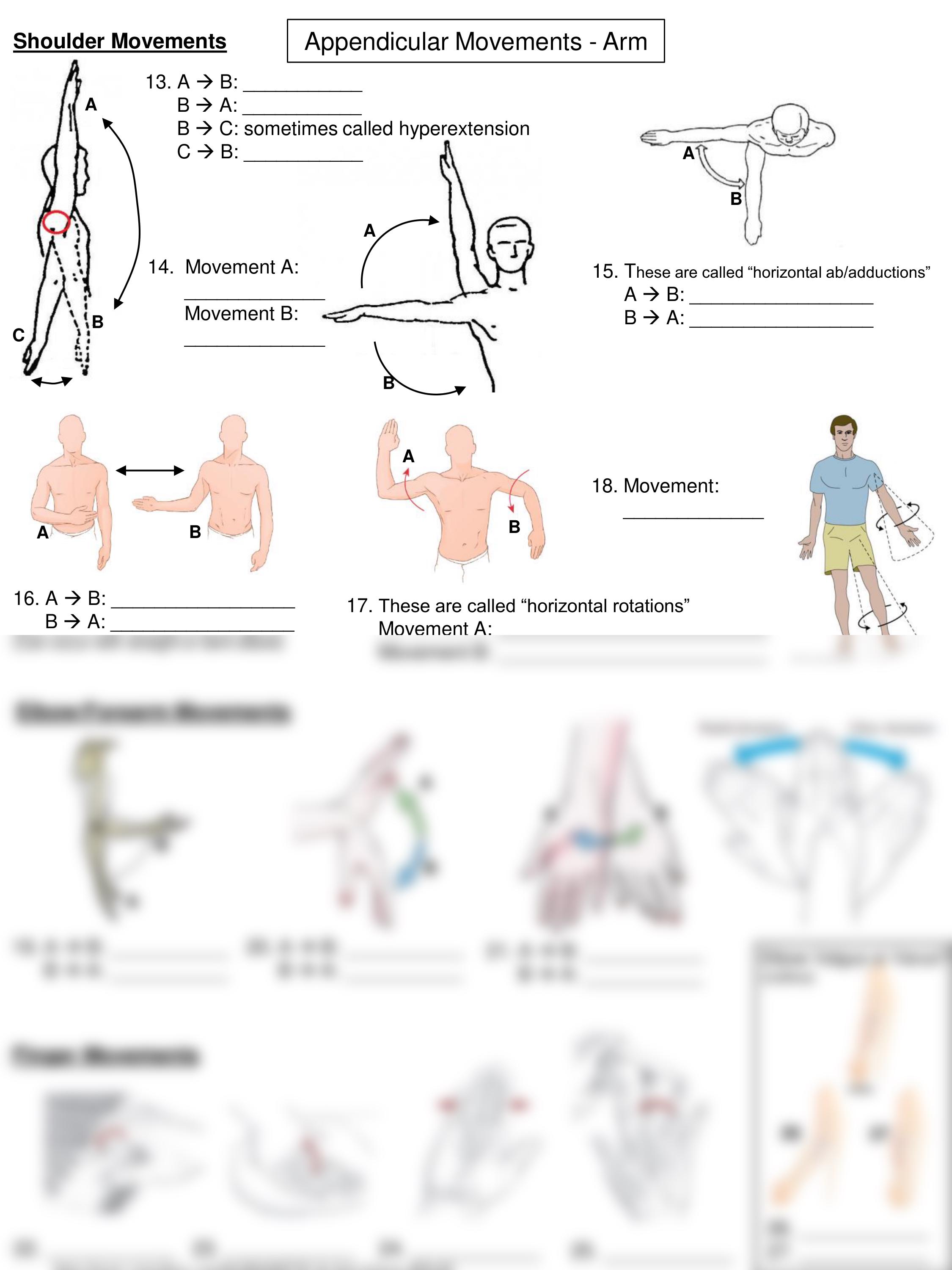 Lab Articulations WS.pdf_dpzj8t0bt45_page2