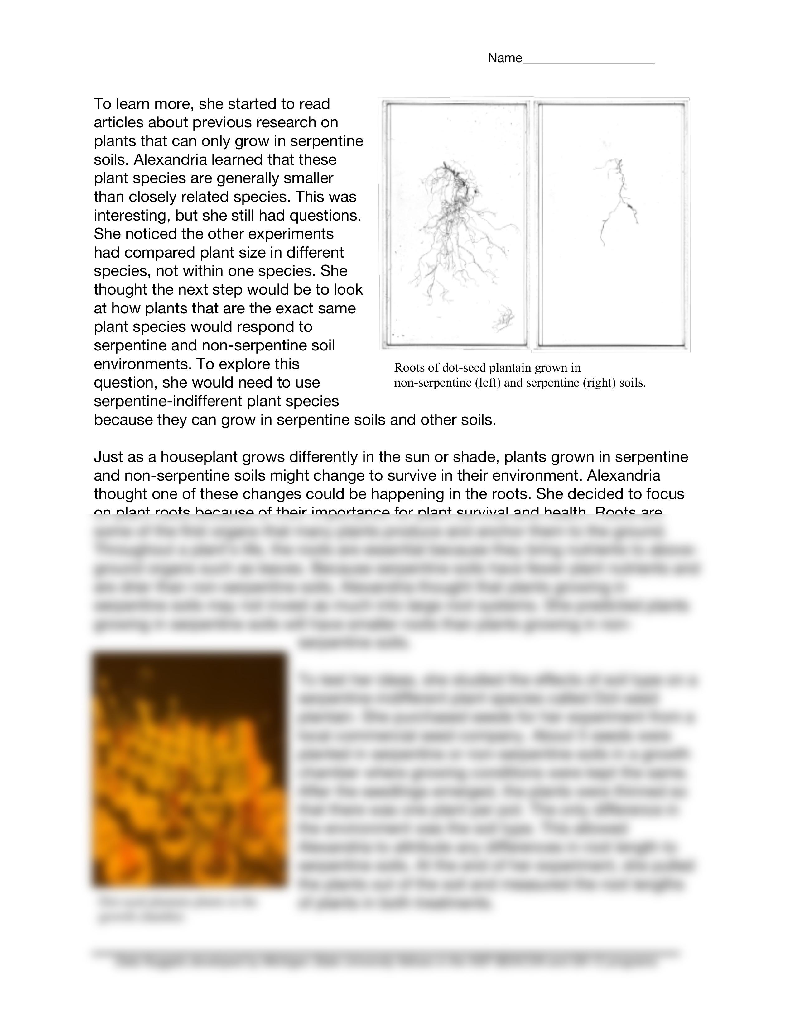 roots-of-serpentine-soils-studentA.pdf_dq6c03ocire_page2