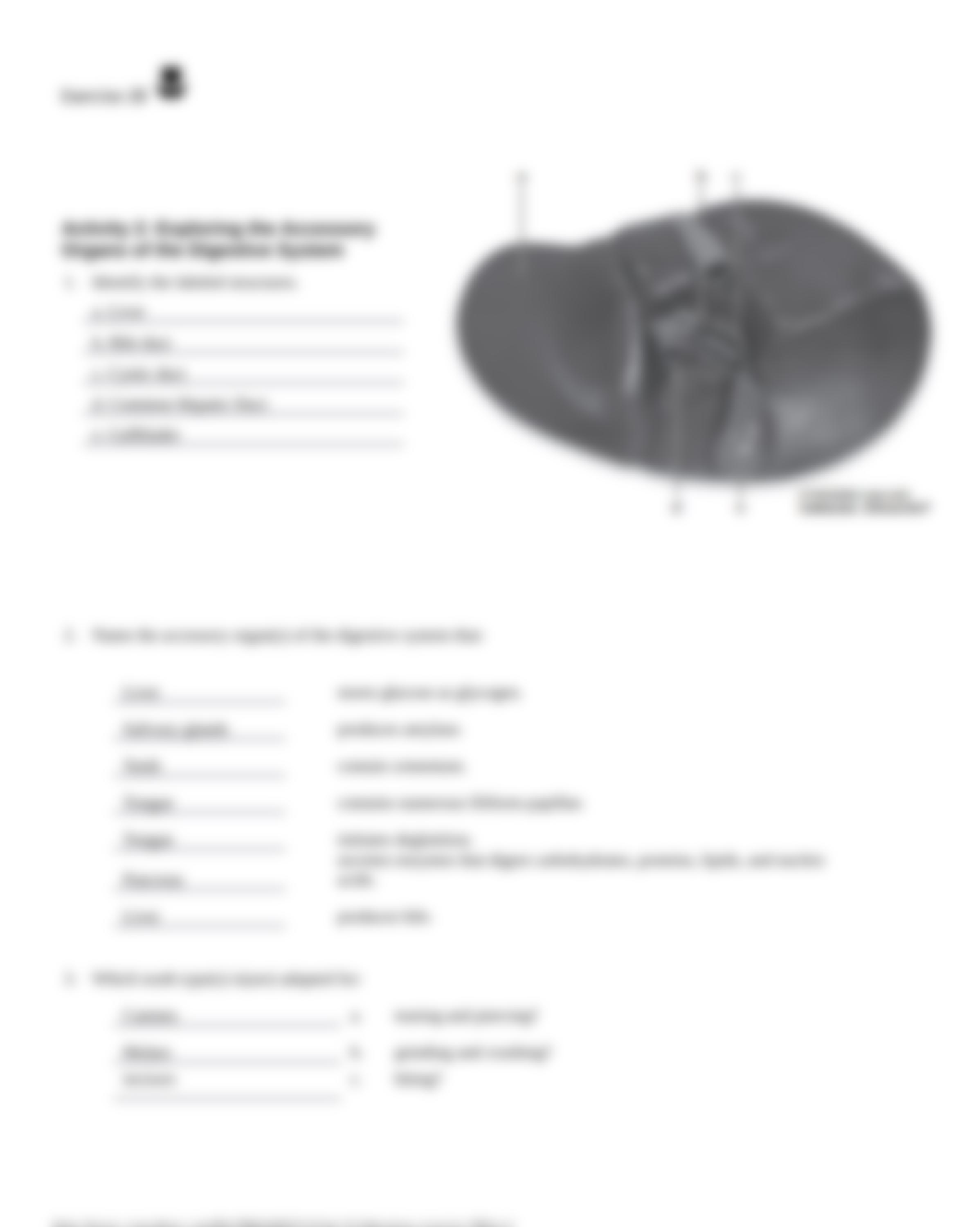 13. Unit 13 laboratory exercise 28.docx_dqduosjr404_page3