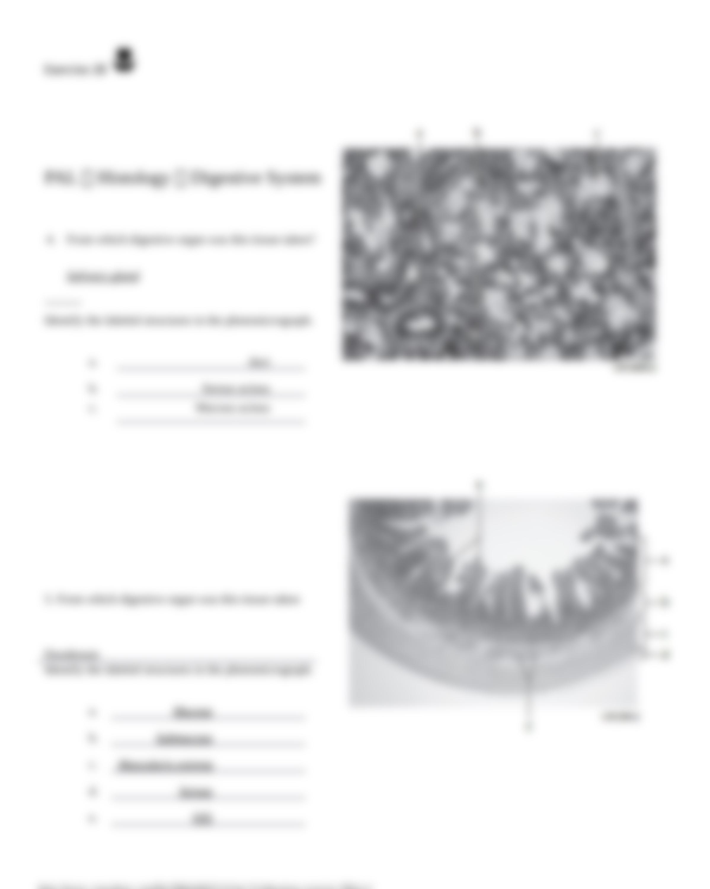 13. Unit 13 laboratory exercise 28.docx_dqduosjr404_page5