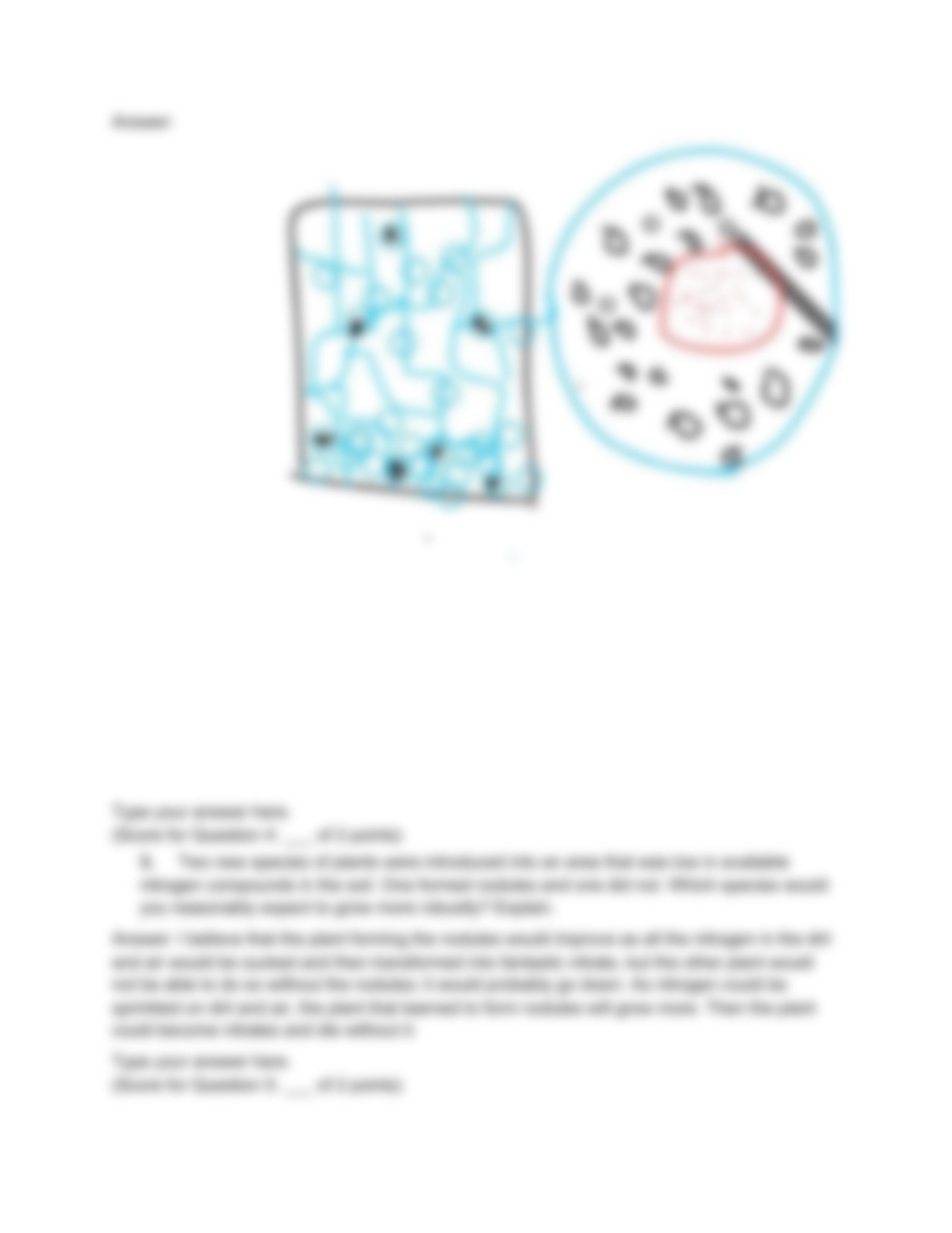 11.16 Lab_ Fixation in Root Nodules 1.pdf_dqi3f06uur9_page4