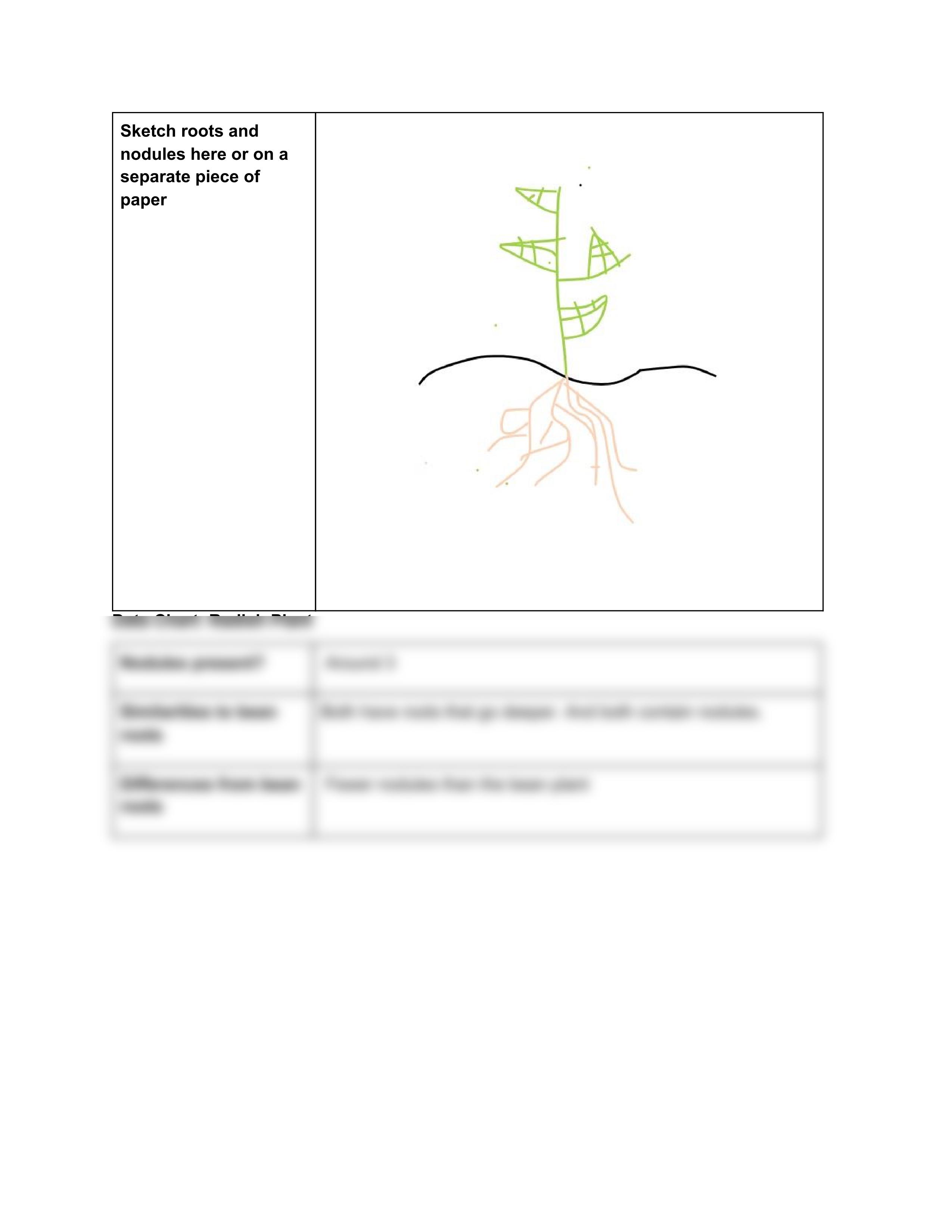 11.16 Lab_ Fixation in Root Nodules 1.pdf_dqi3f06uur9_page2