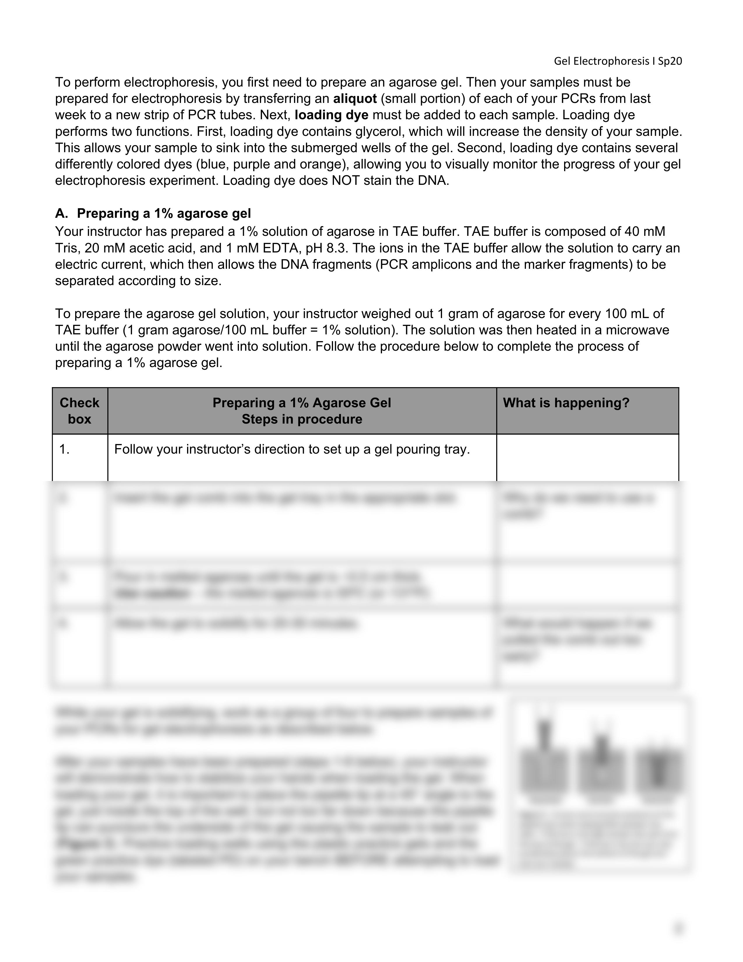 PRINTME_GelElectrophoresisSp20.pdf_dqjjph2142w_page2