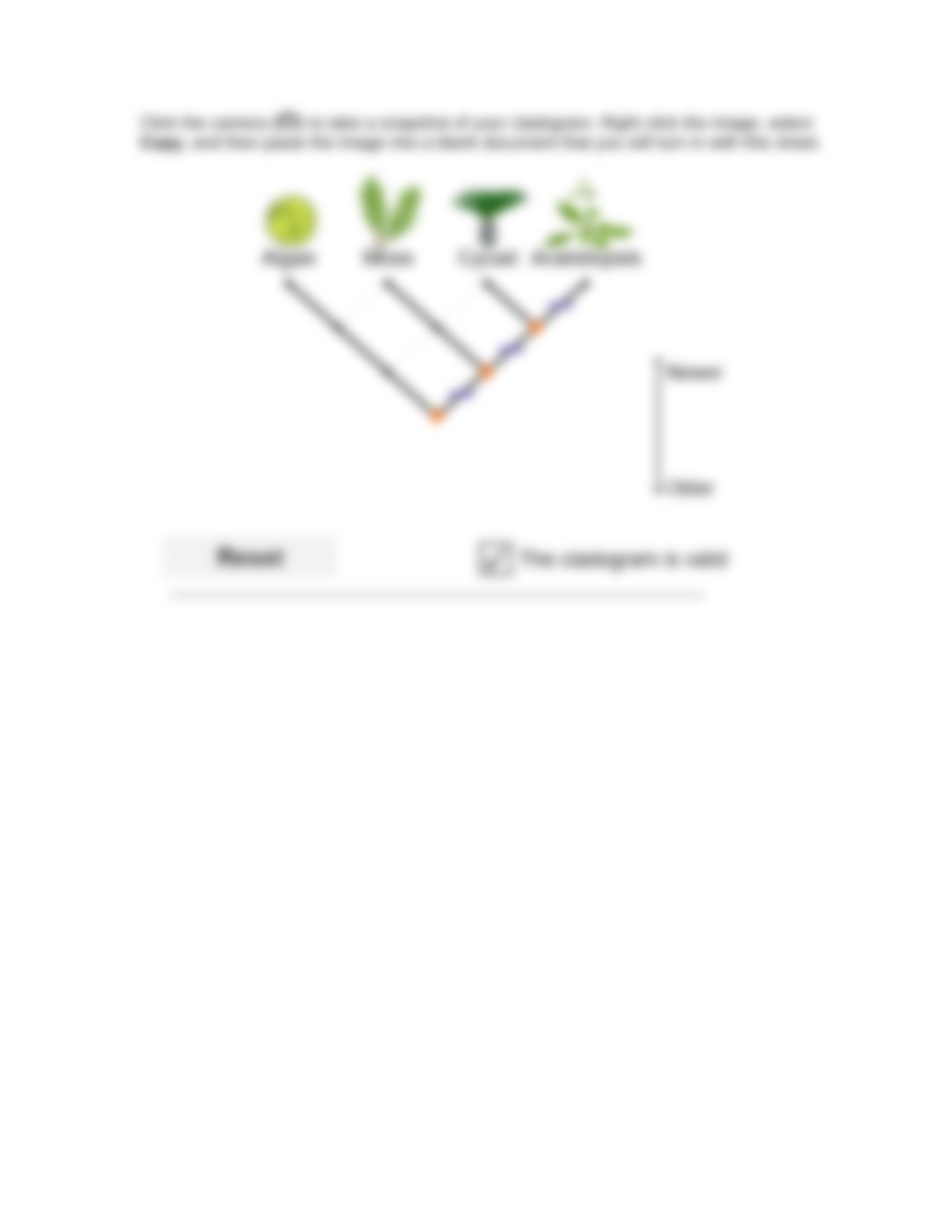 Cladogram Activity A.docx_dqnffmlb6v0_page4