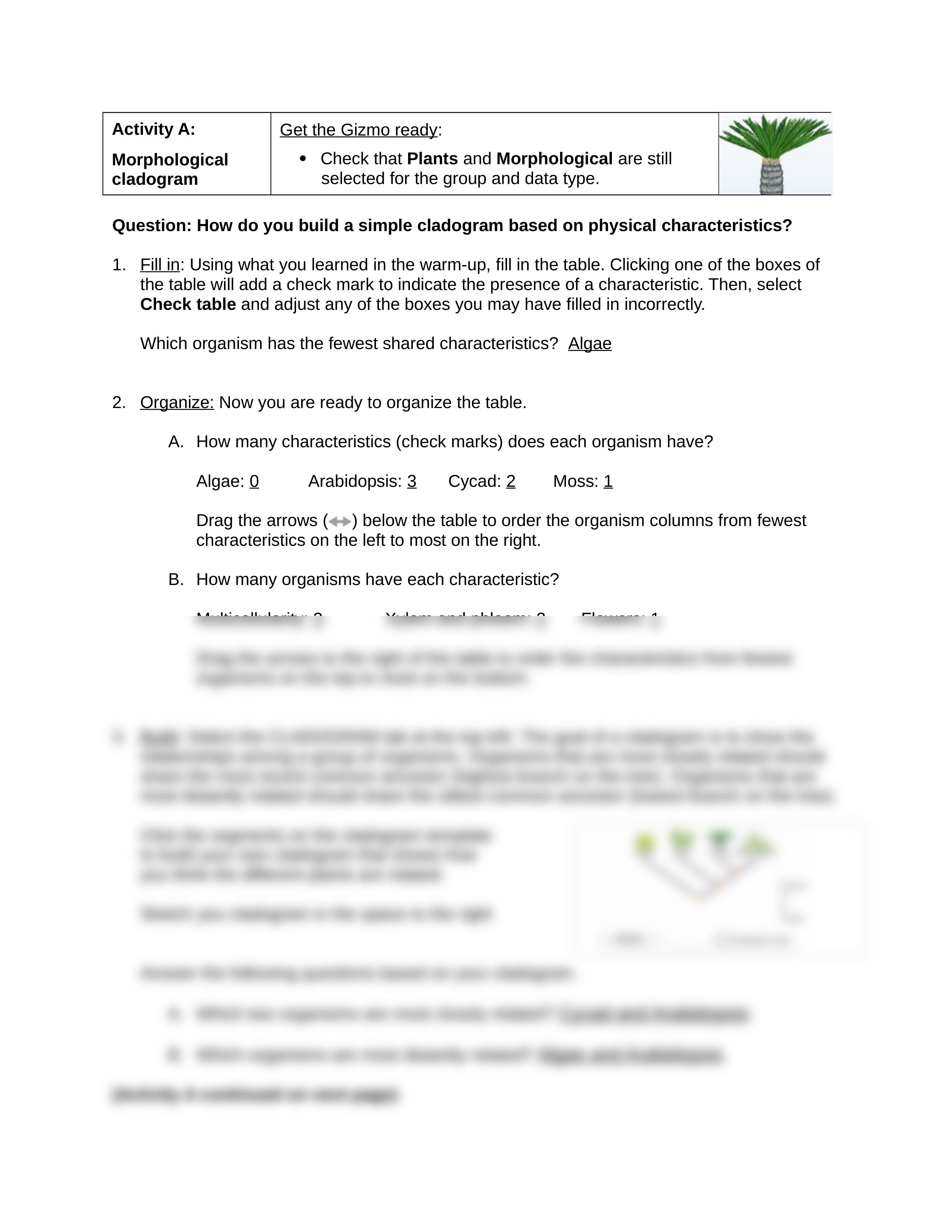 Cladogram Activity A.docx_dqnffmlb6v0_page2