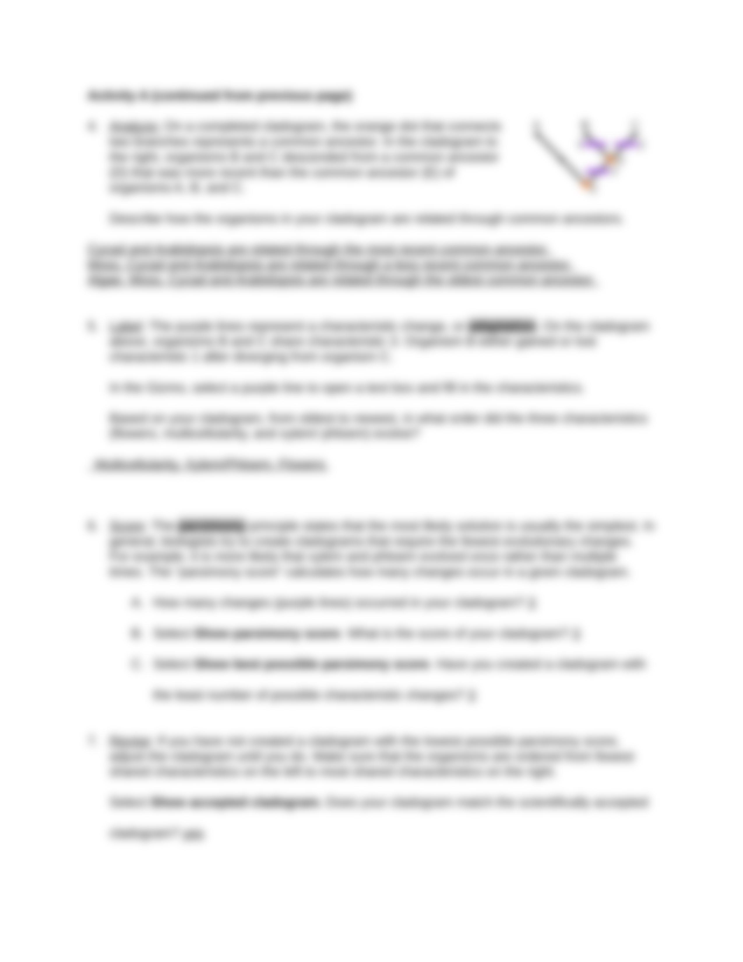 Cladogram Activity A.docx_dqnffmlb6v0_page3