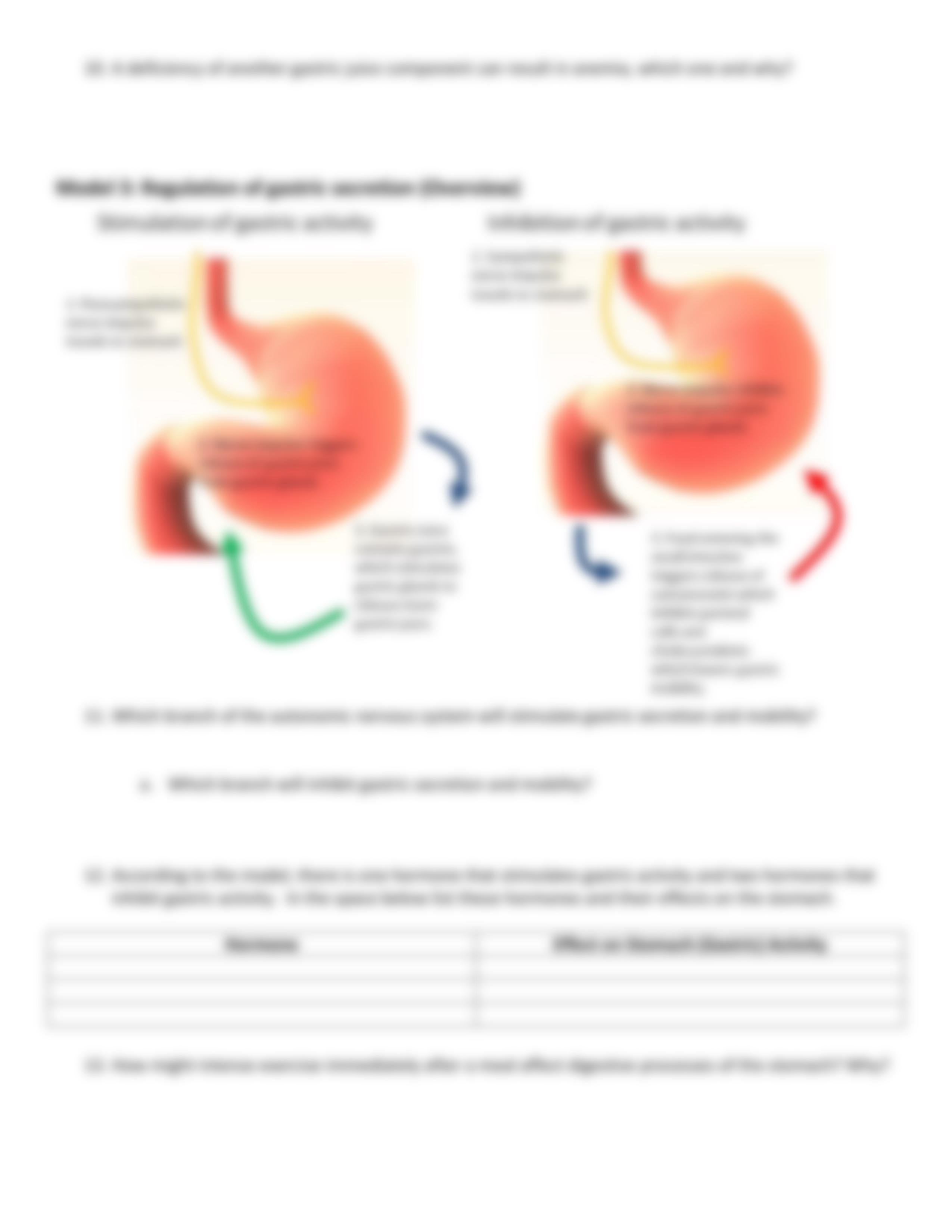 Worksheet8-PhysiologyofUpperGI_dqnt33pyu5s_page4