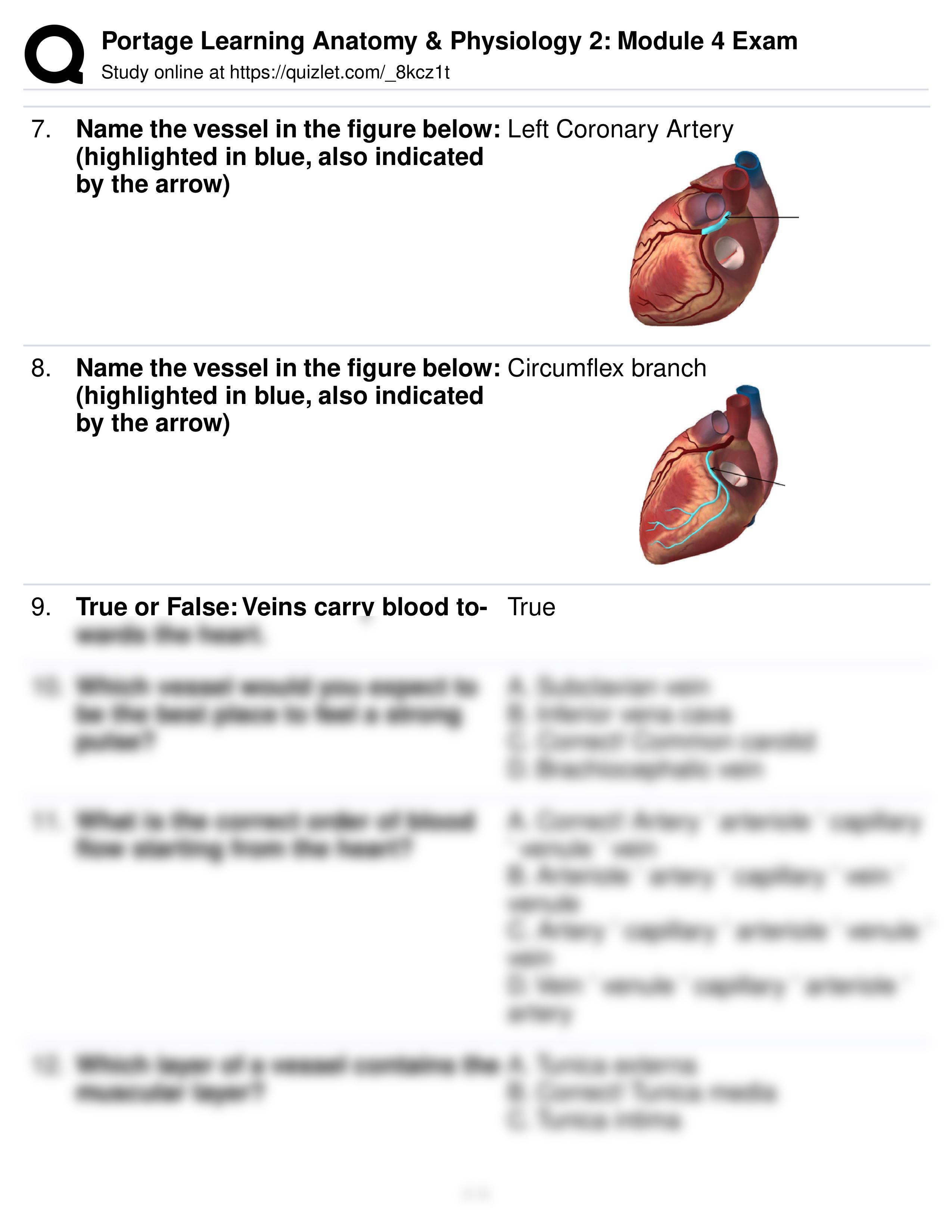 Portage Learning Anatomy & Physiology 2_ Module 4 Exam.pdf_dqt0vn27fon_page2